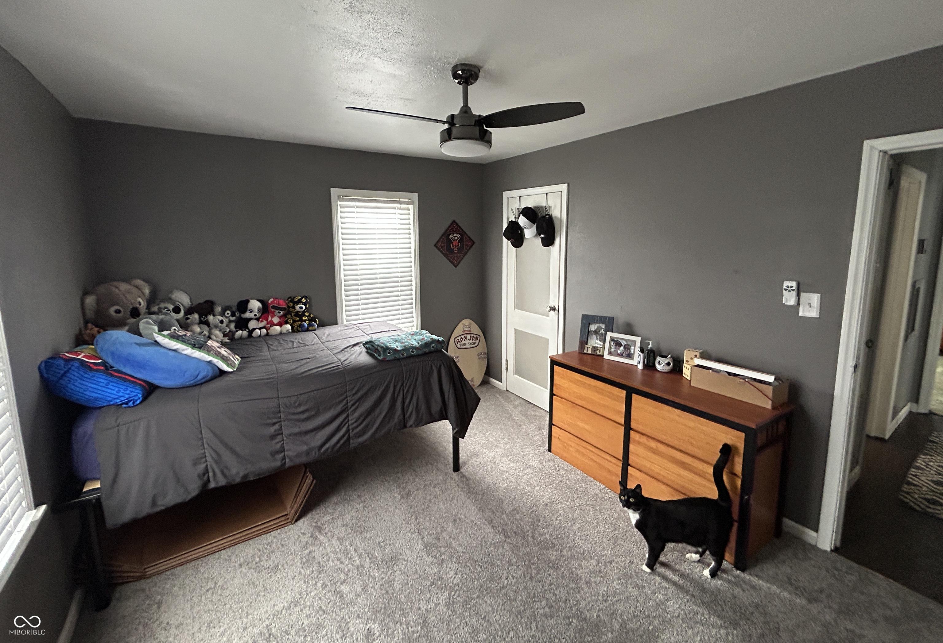 Photo #14