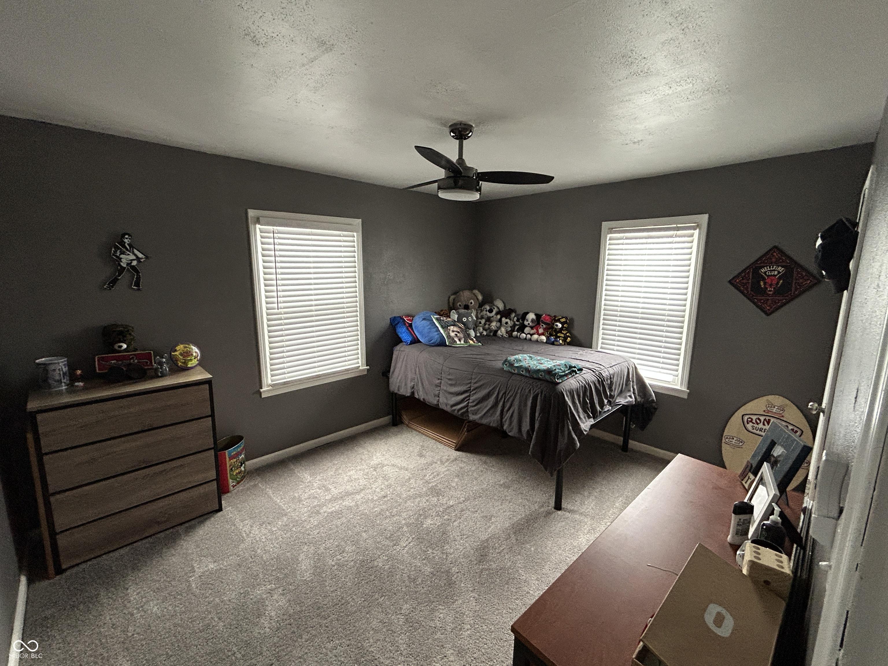 Photo #15