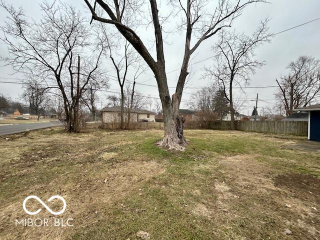 Photo #3