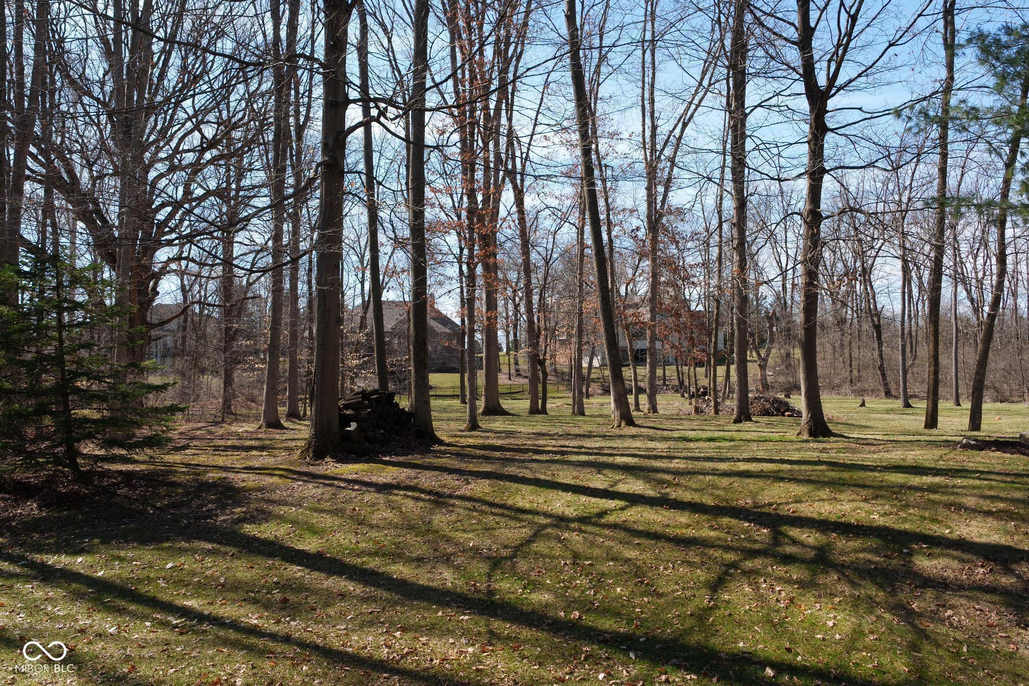 Photo #54