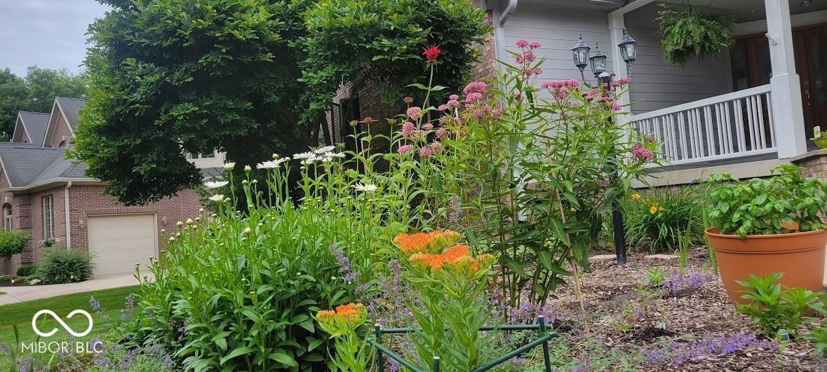 Photo #61