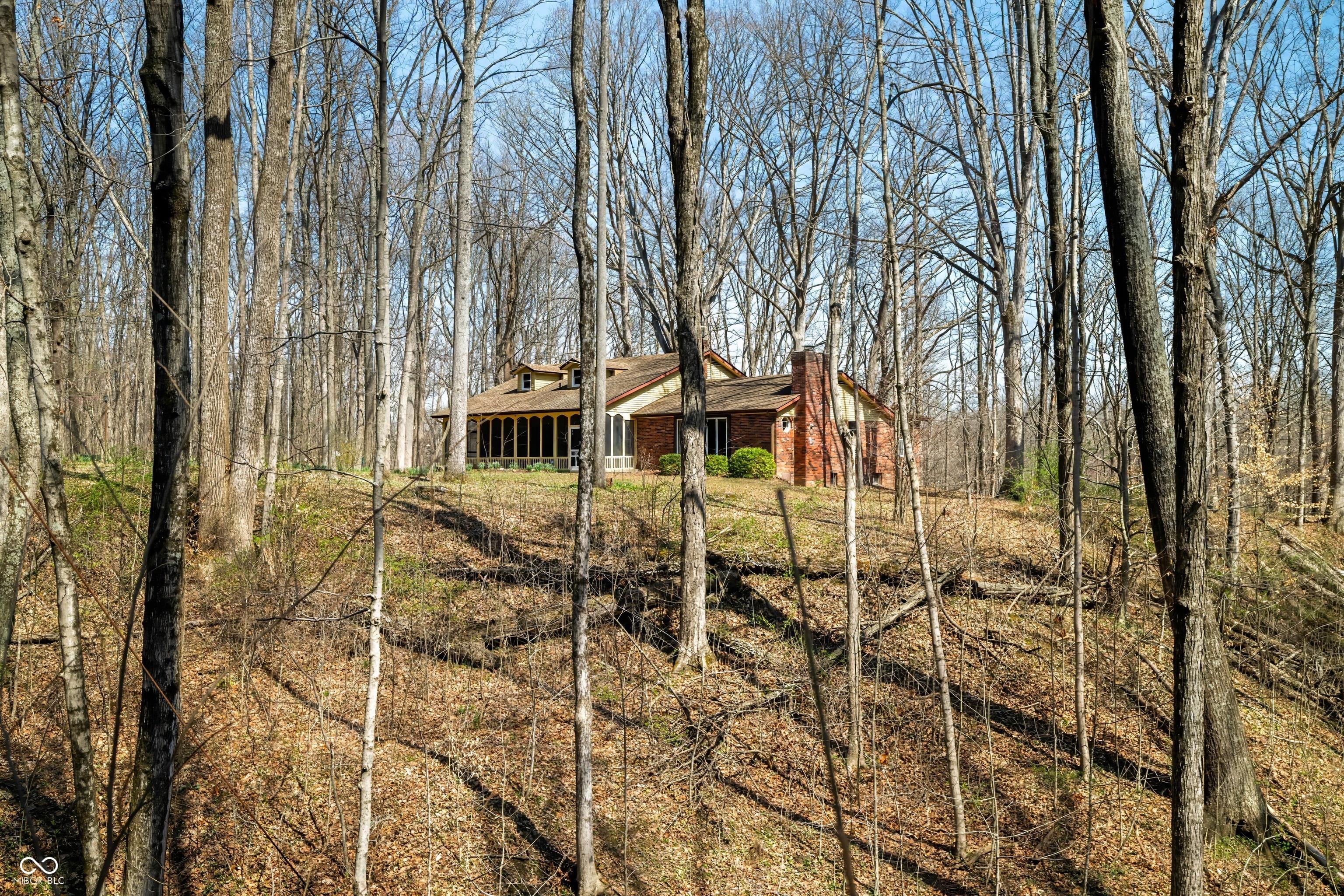 Photo #4