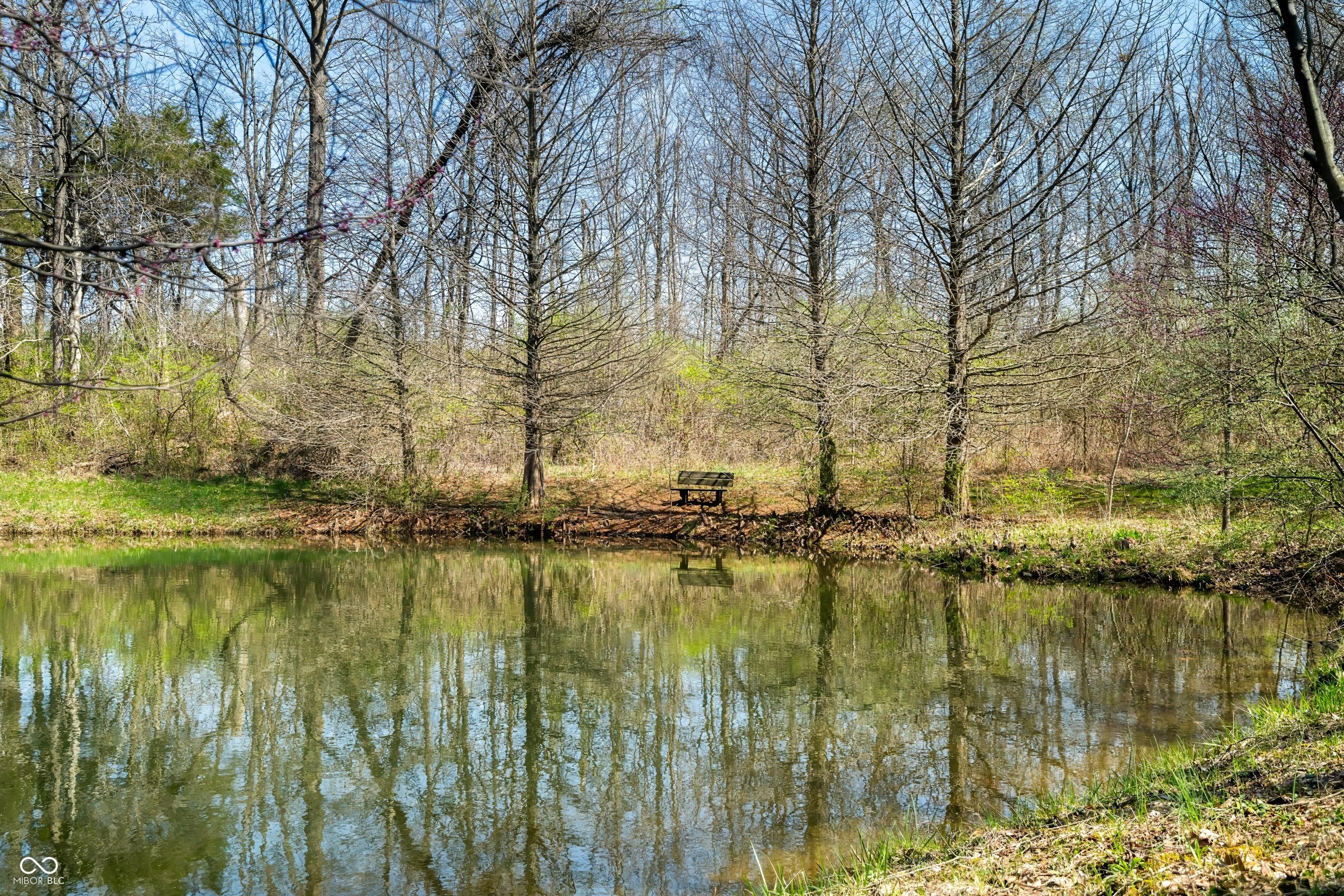 Photo #21