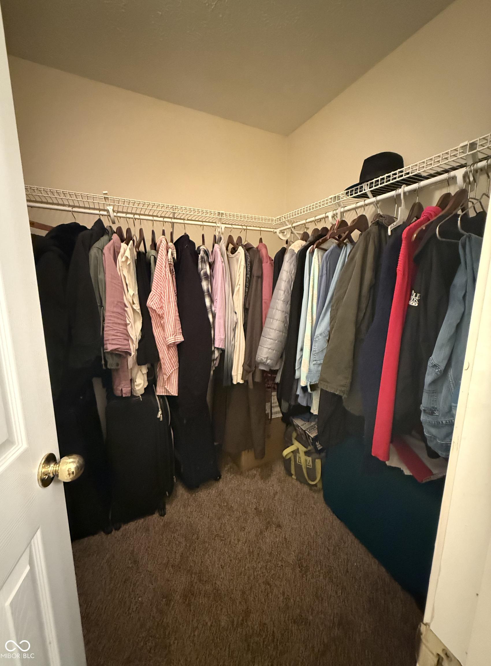 Photo #42