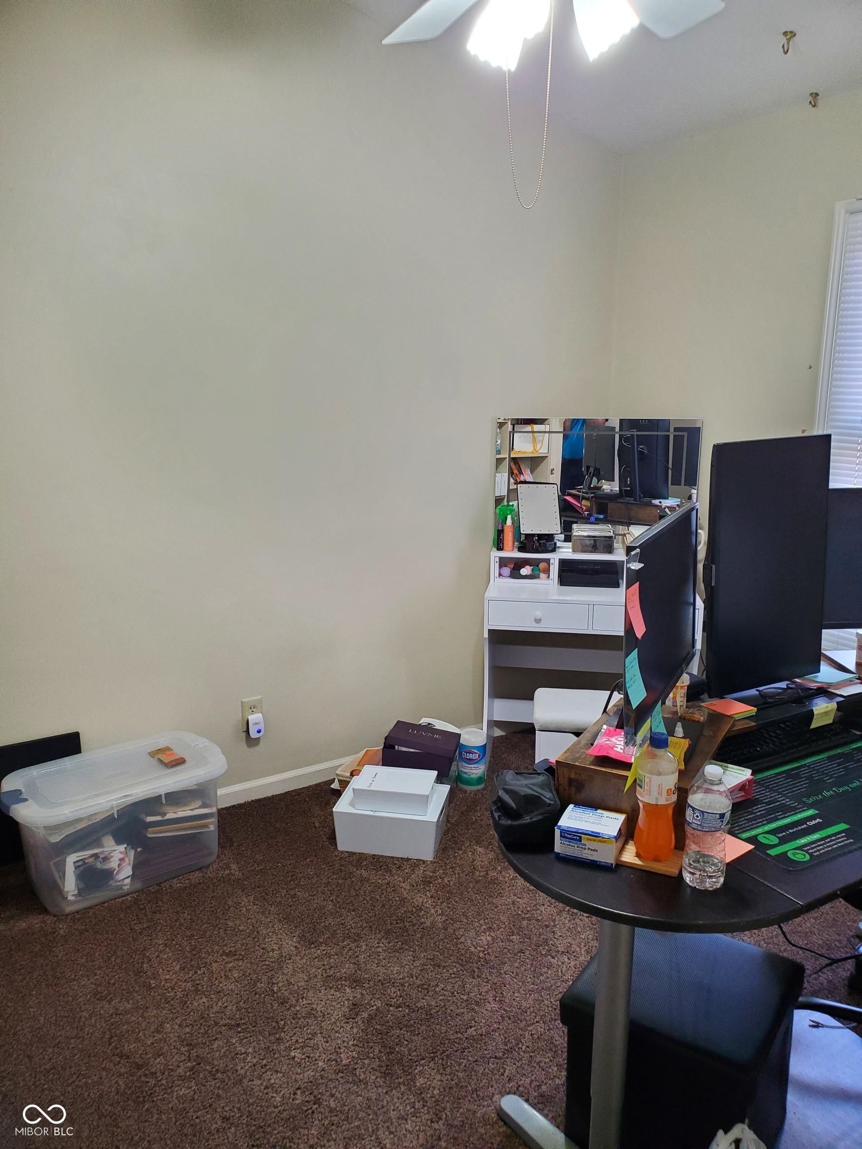 Photo #15