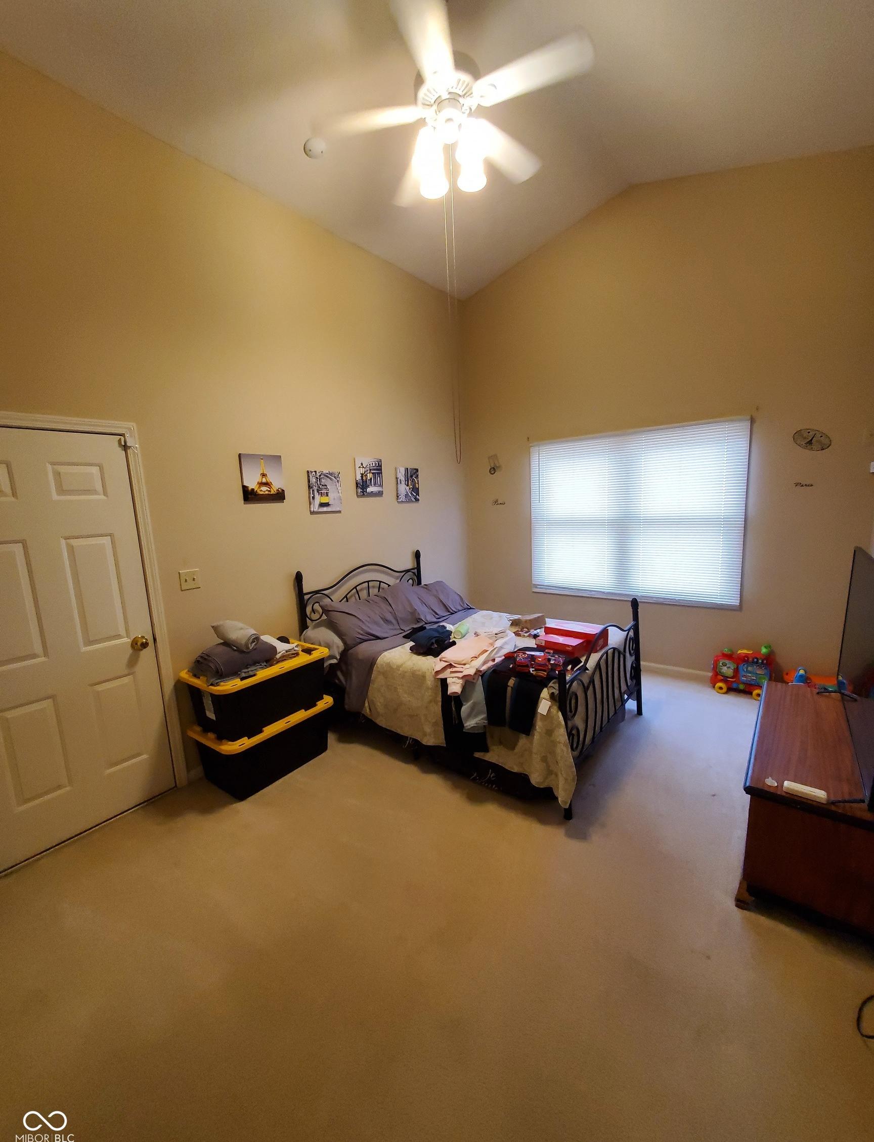 Photo #12