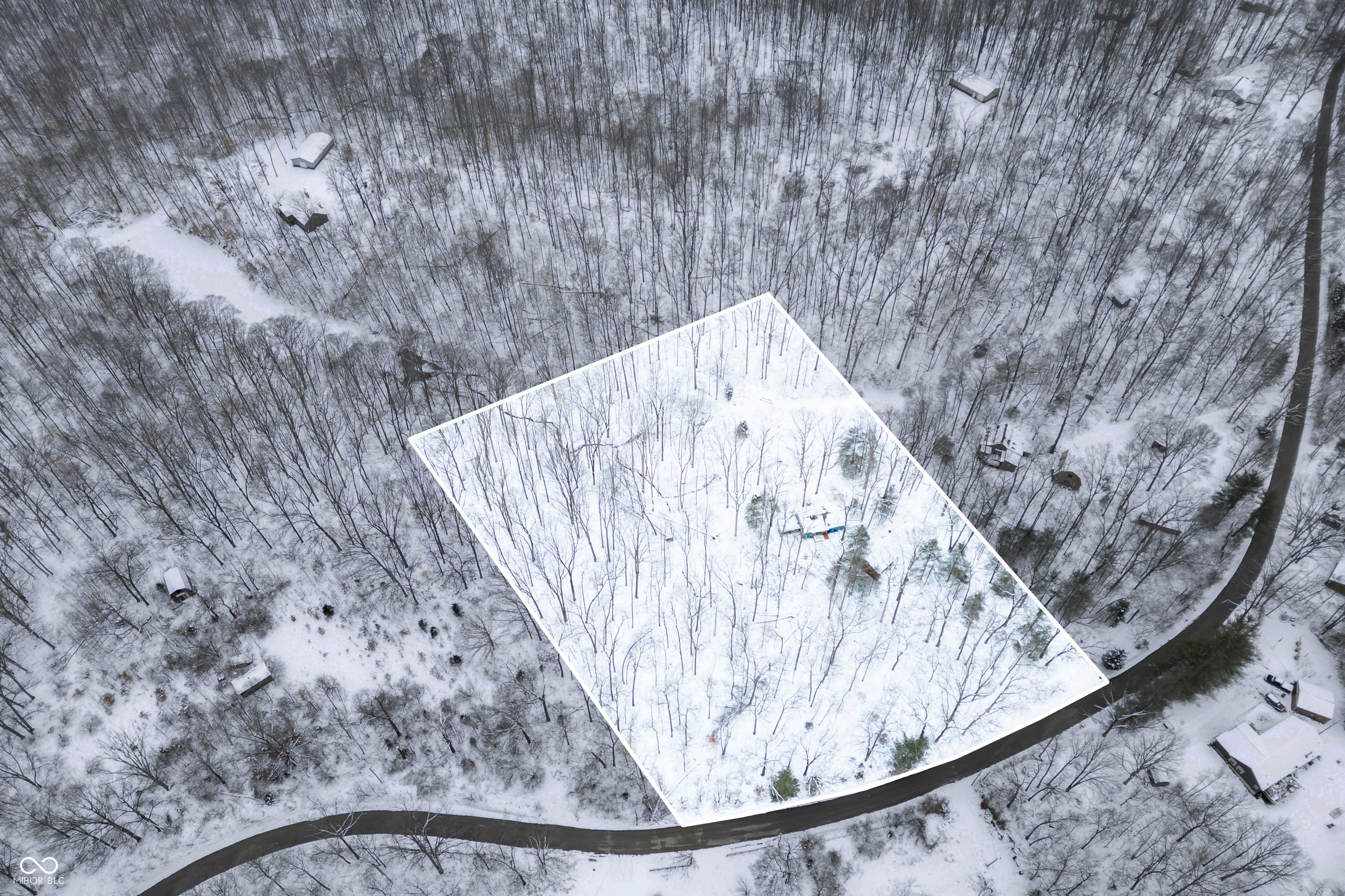 Photo #44