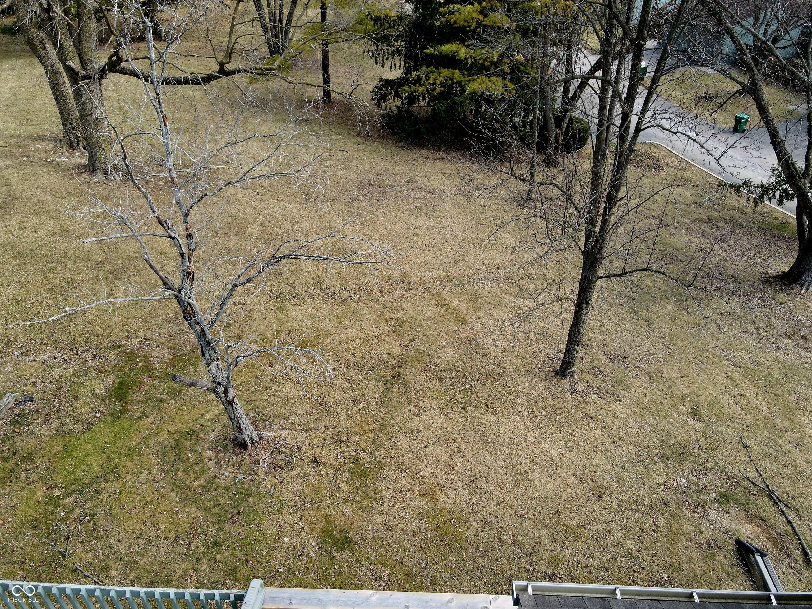 Photo #31