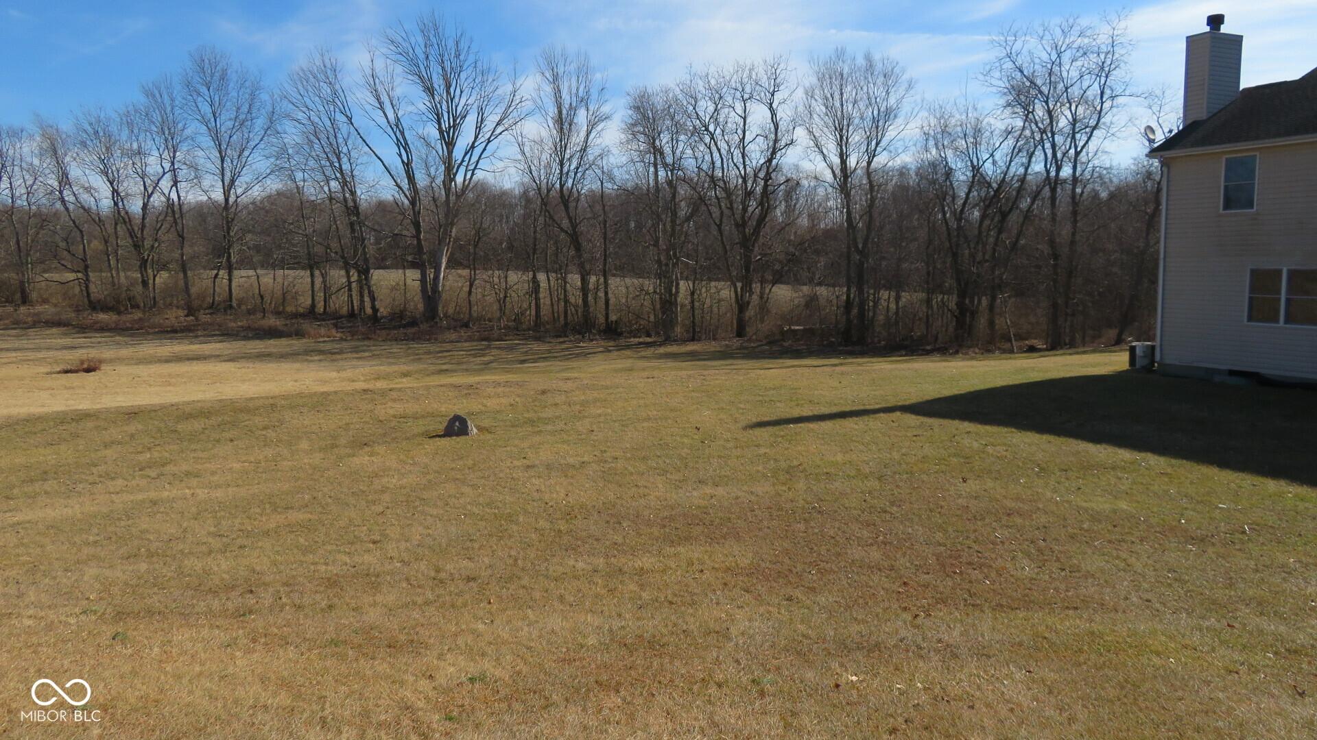 Photo #31