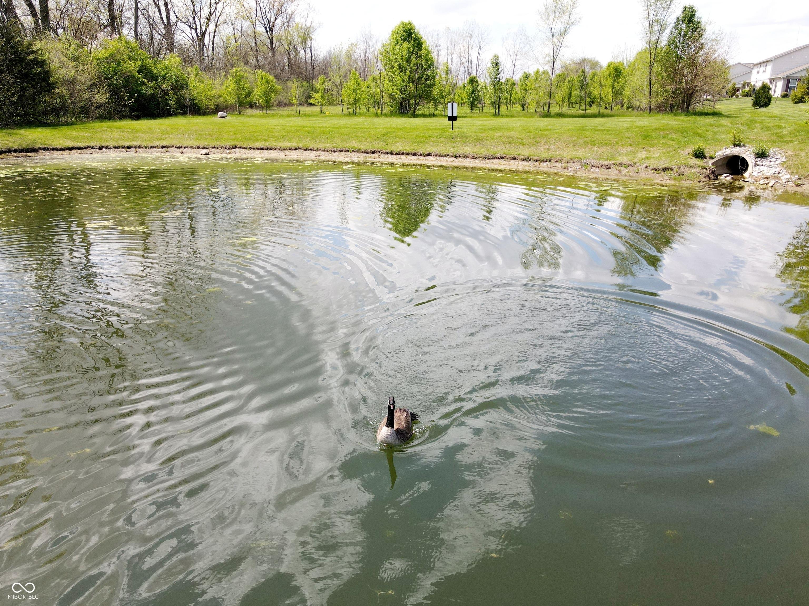 Photo #6