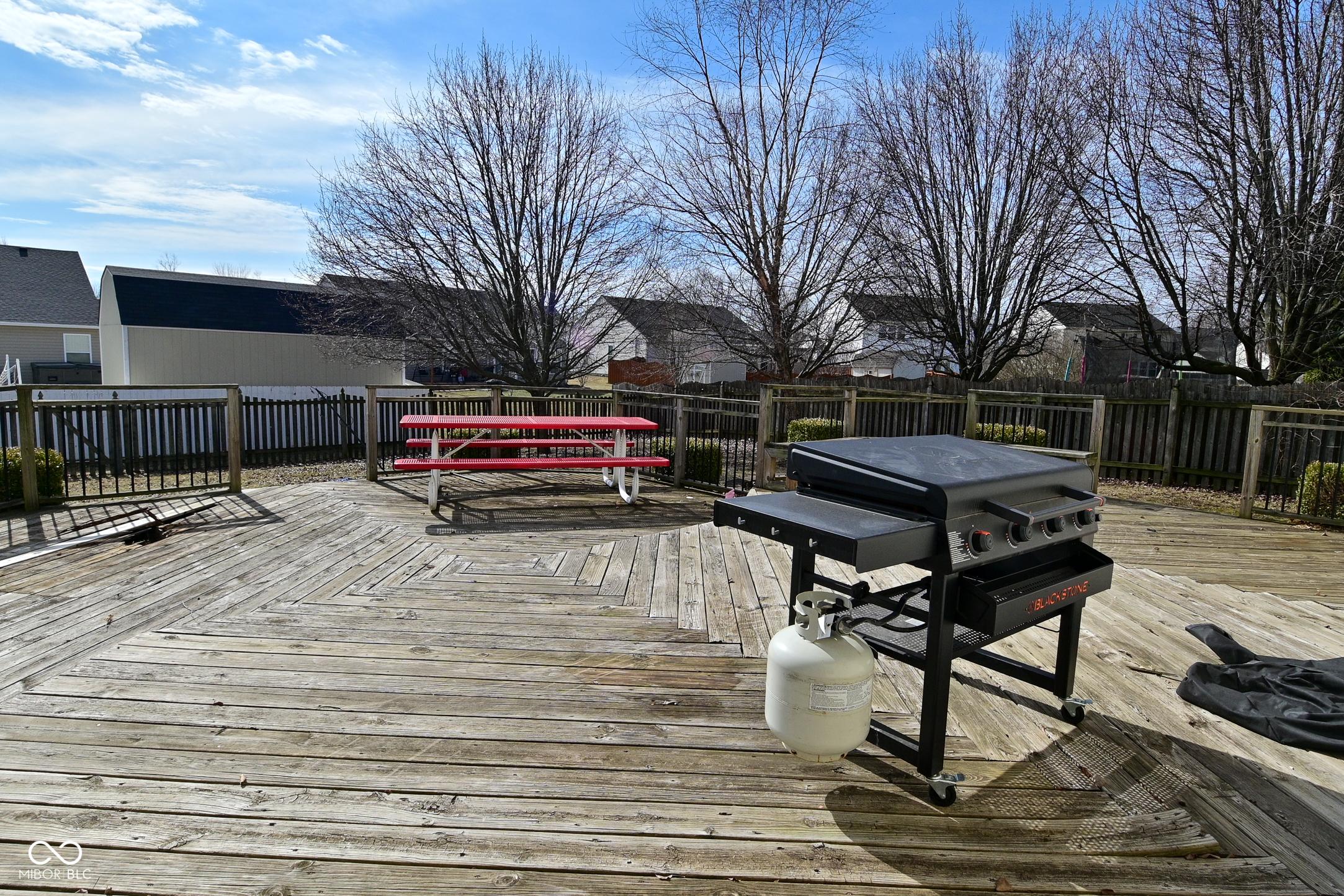 Photo #47