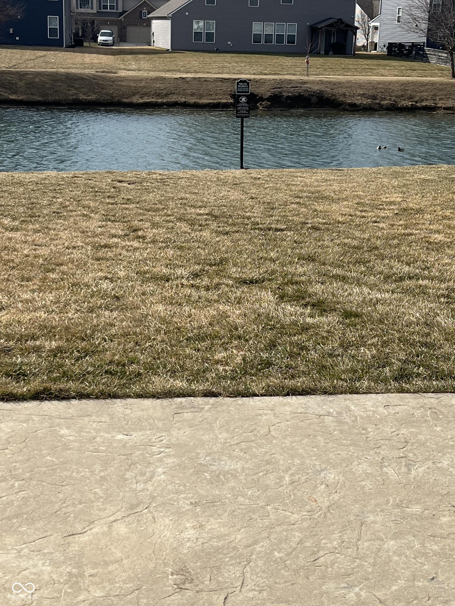 Photo #45
