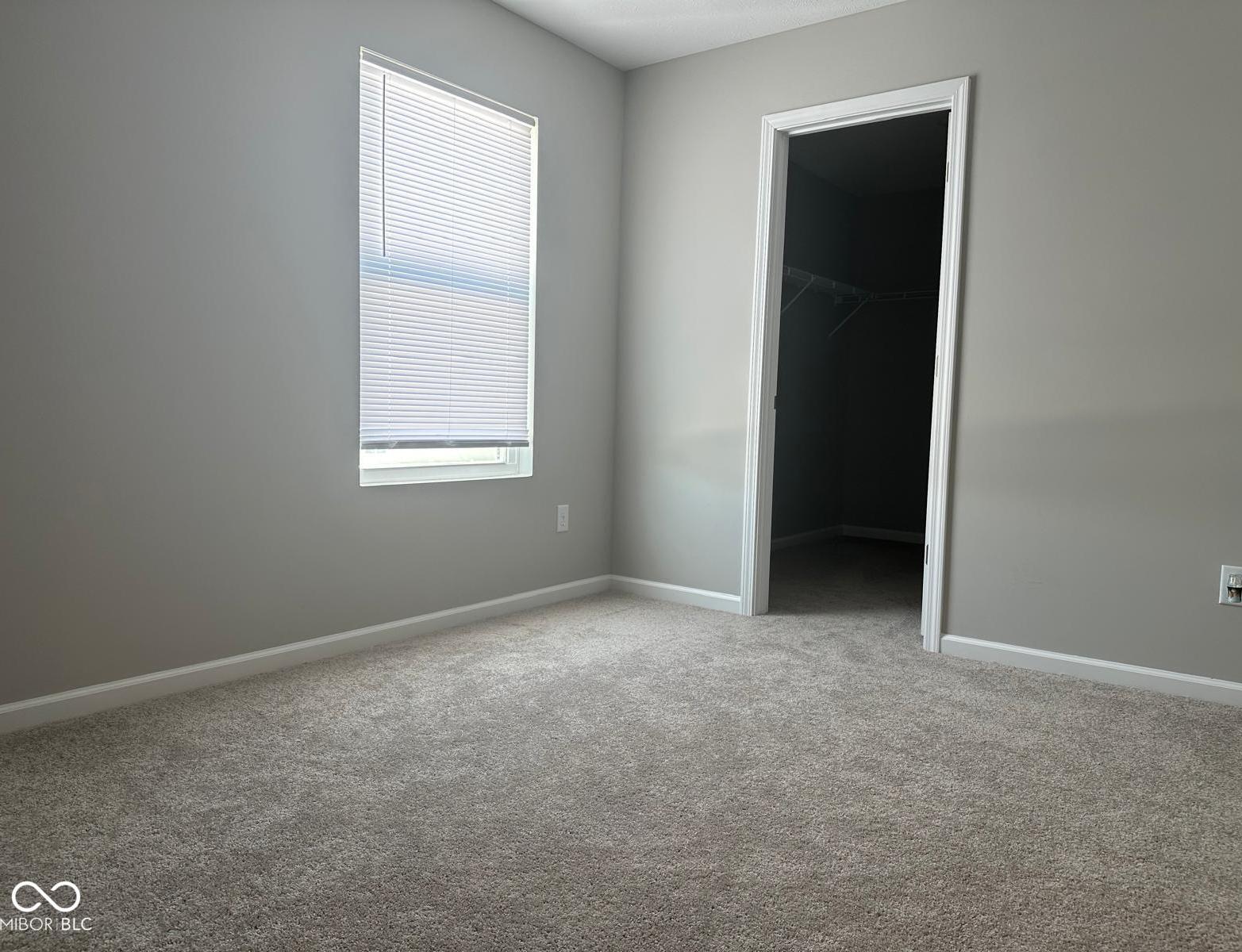 Photo #11