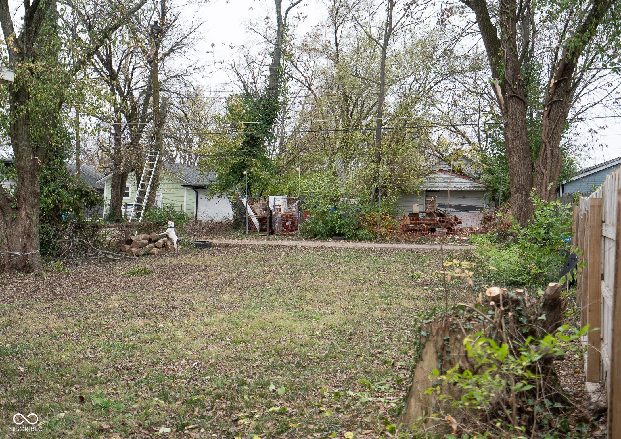 Photo #10