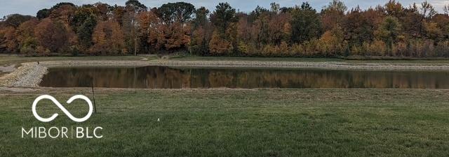 Photo #2