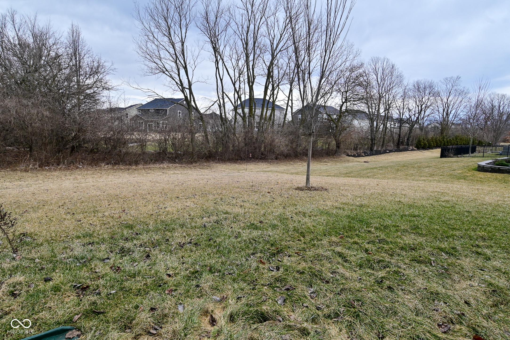 Photo #52