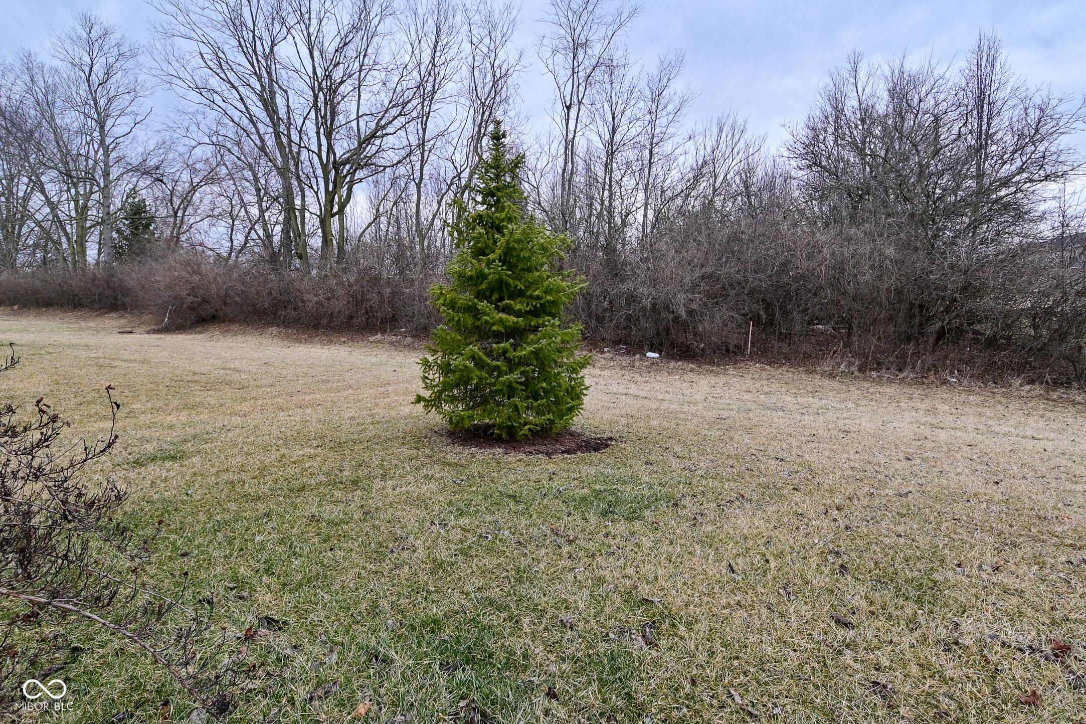 Photo #53