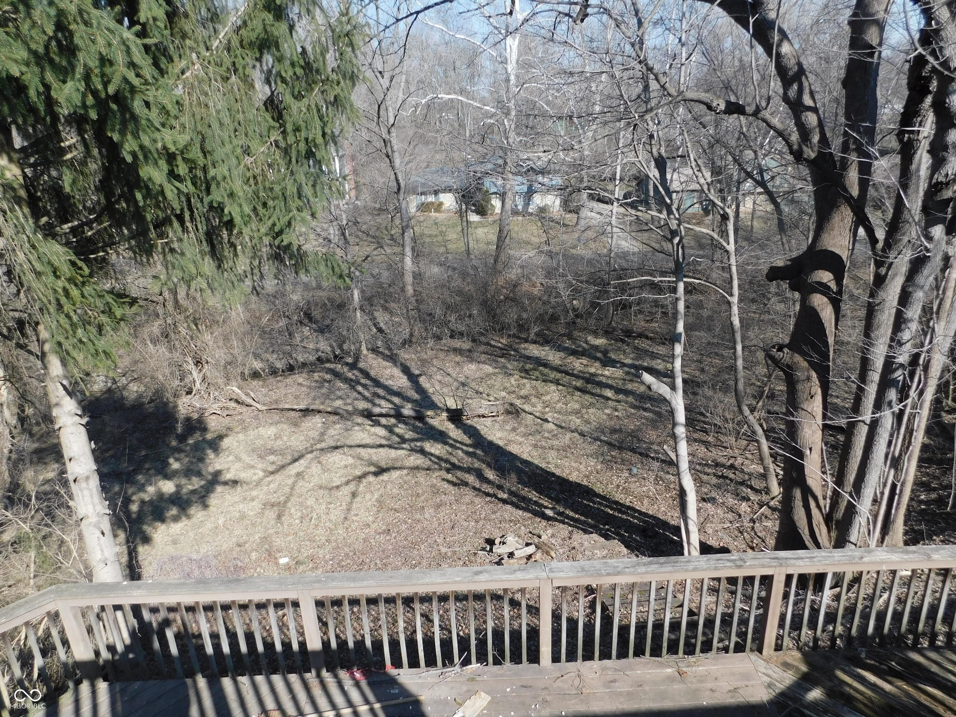 Photo #11