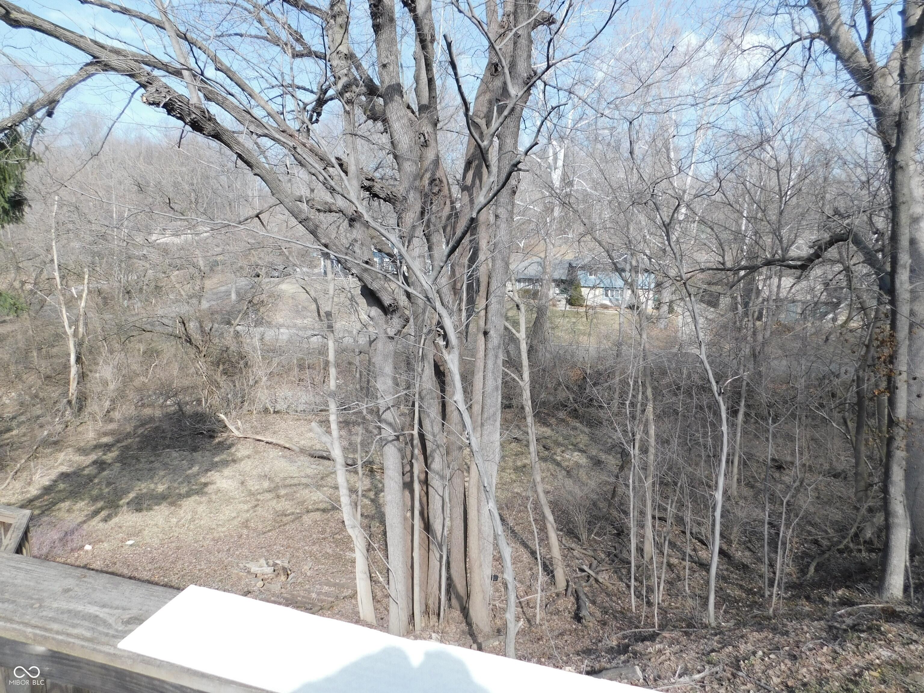 Photo #42