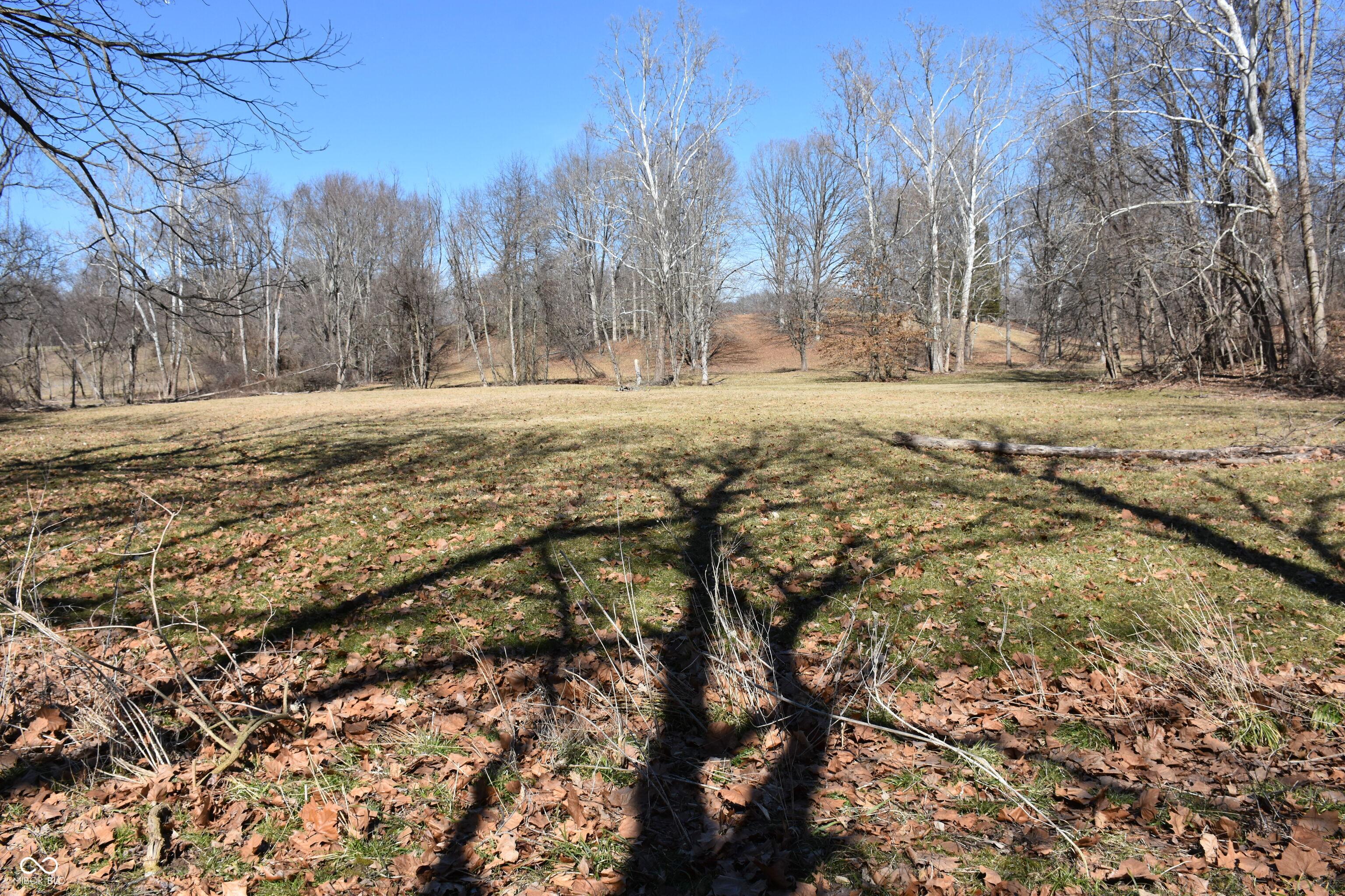 Photo #54