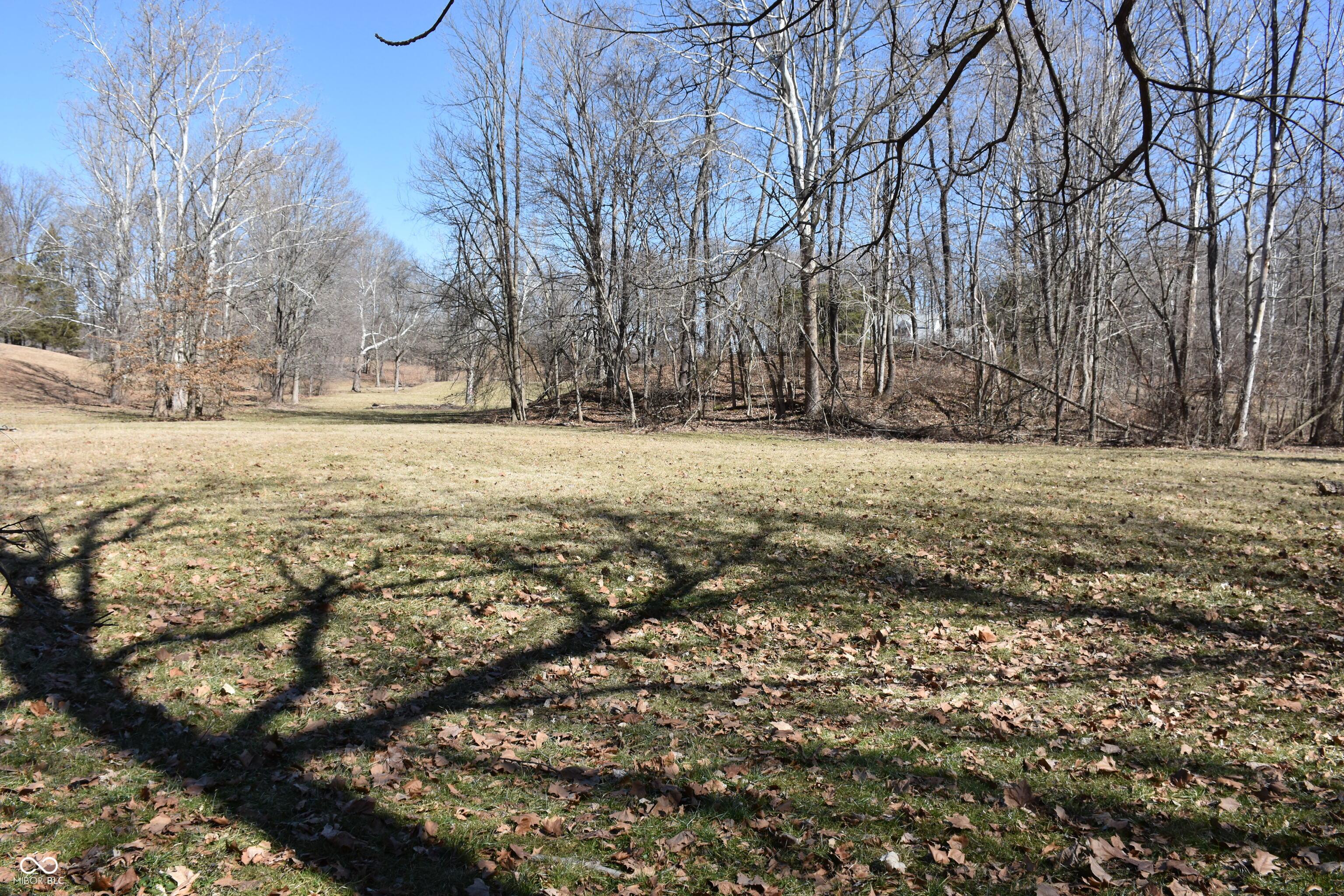 Photo #53