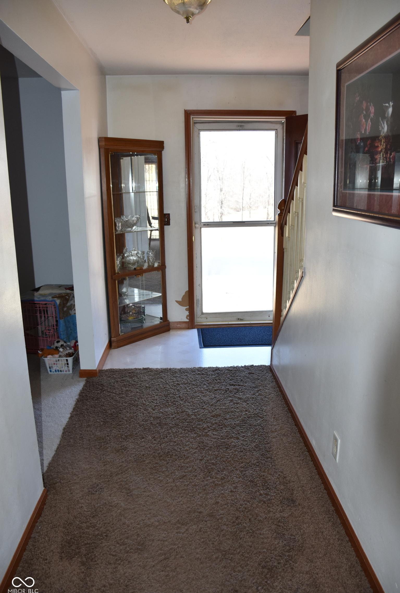 Photo #37