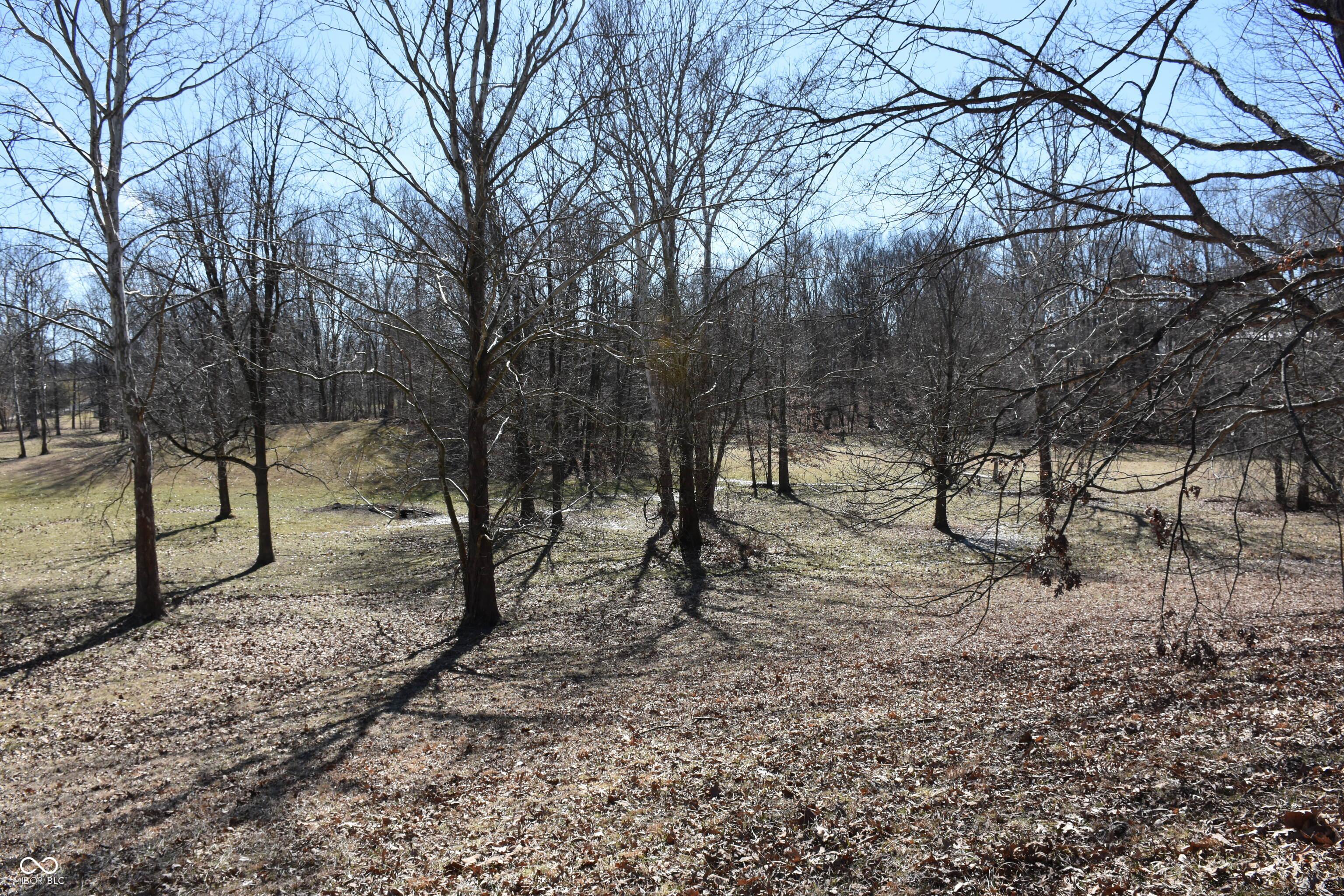 Photo #6