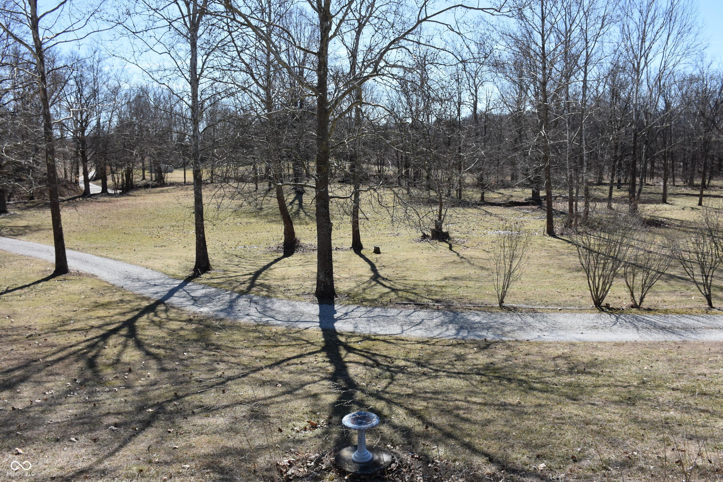 Photo #3