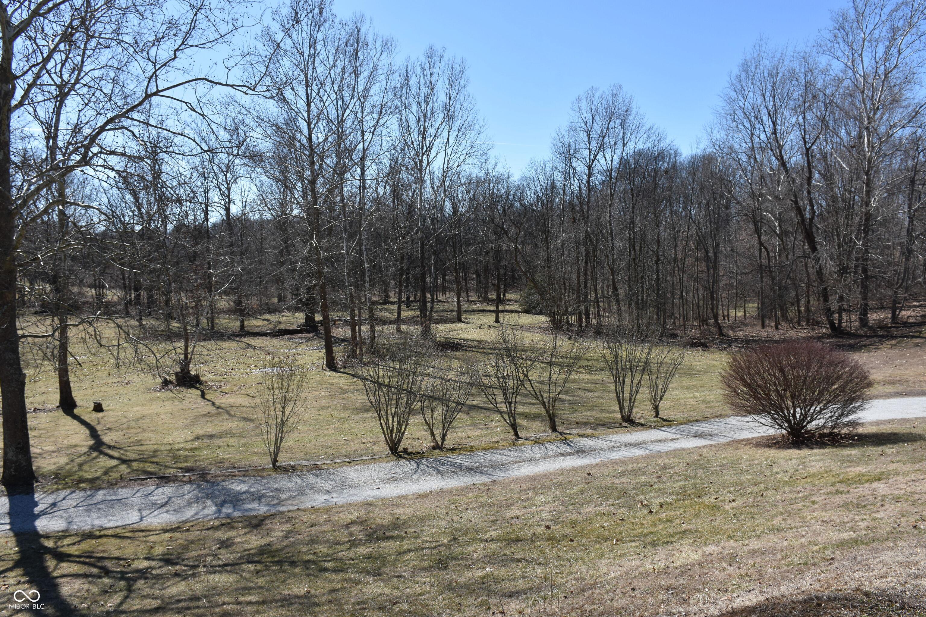 Photo #4
