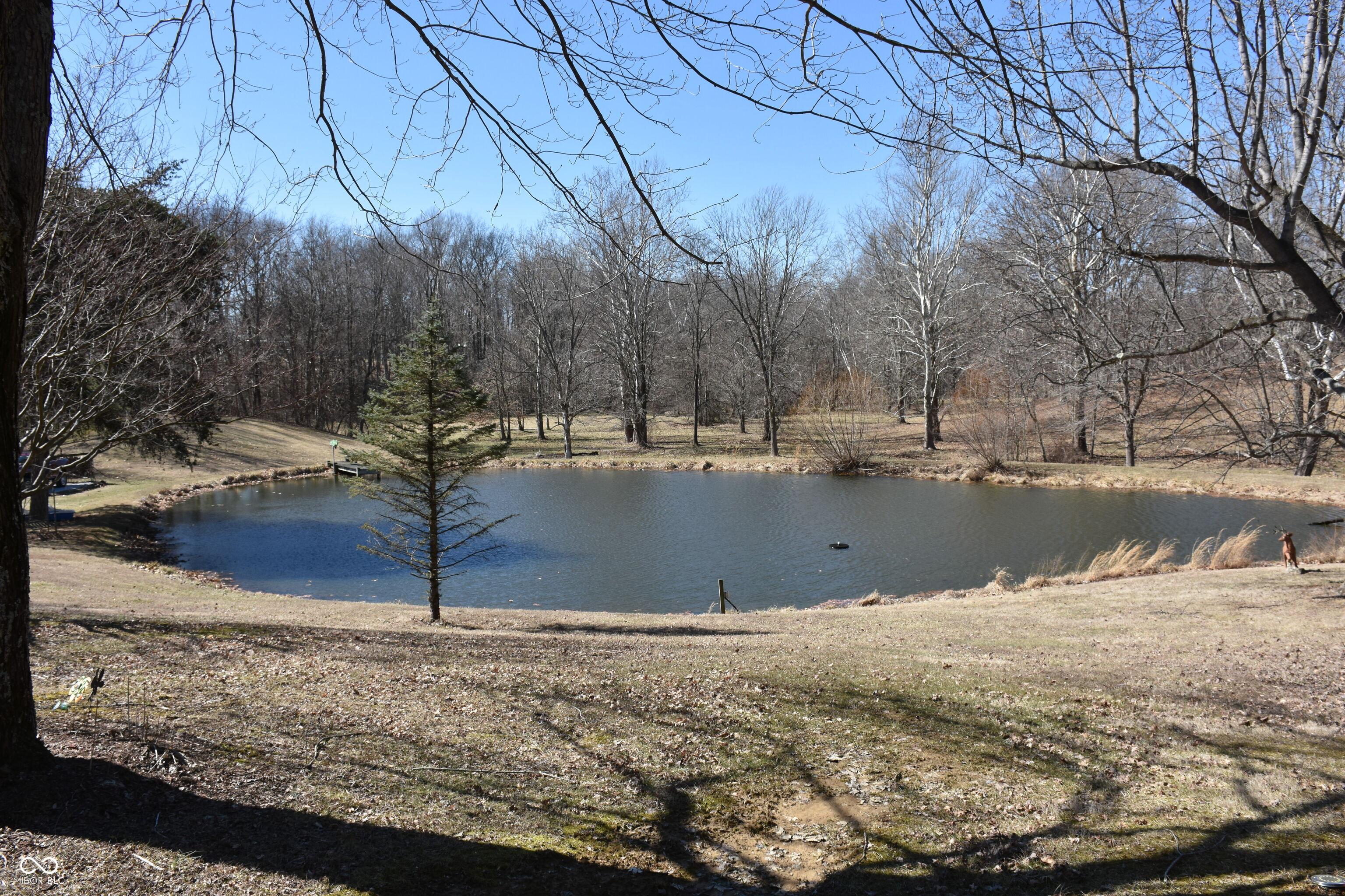 Photo #31