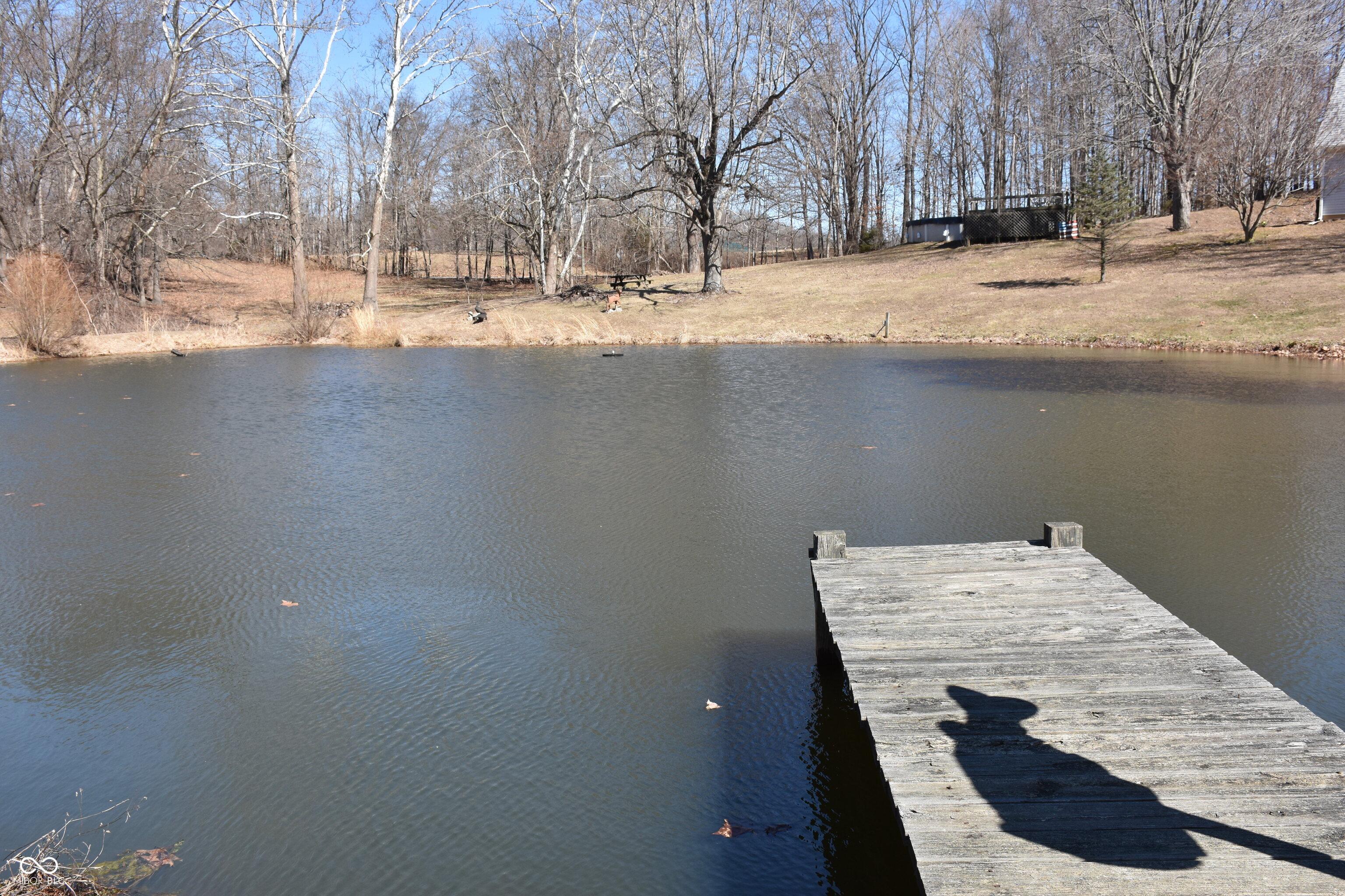 Photo #48