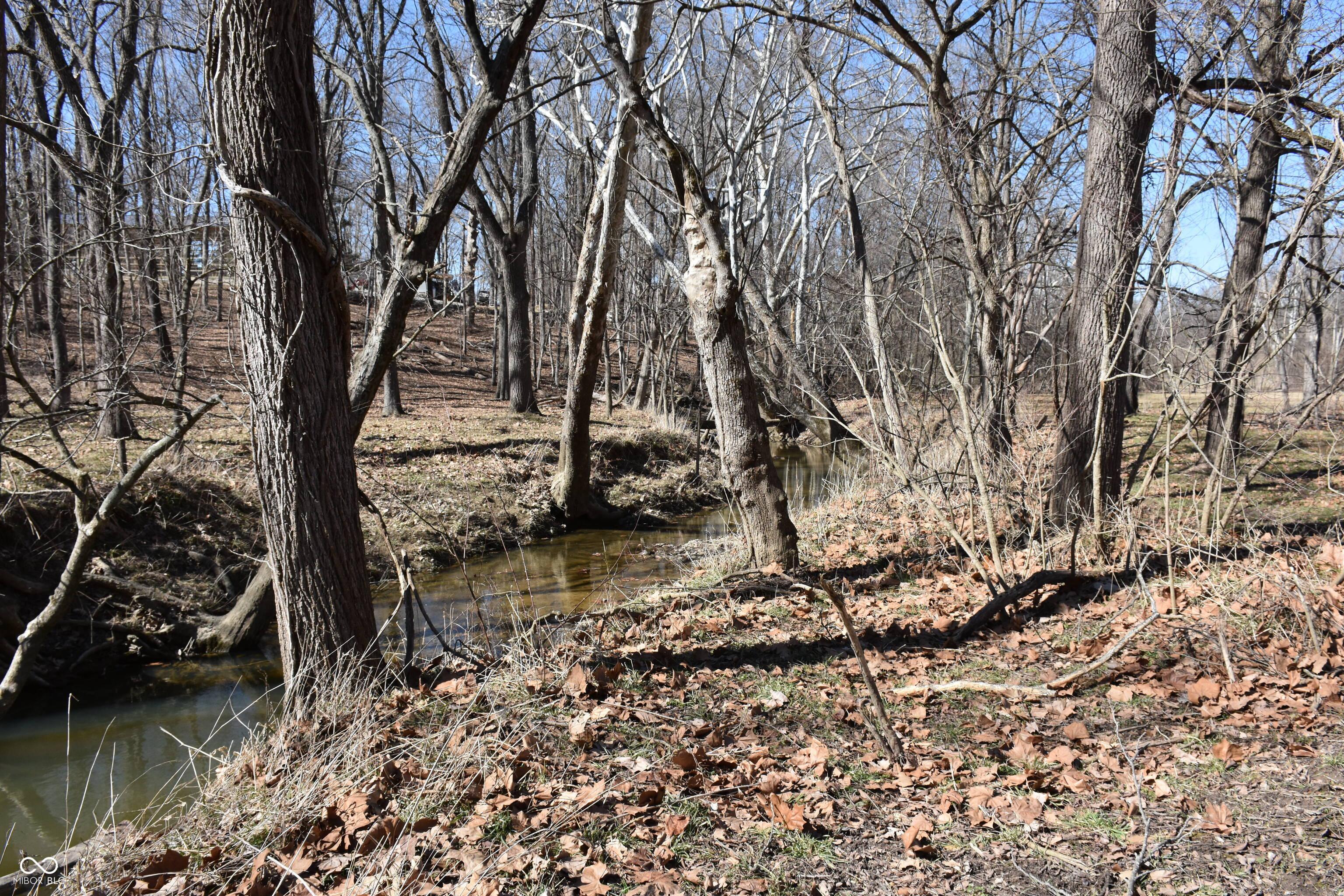 Photo #57