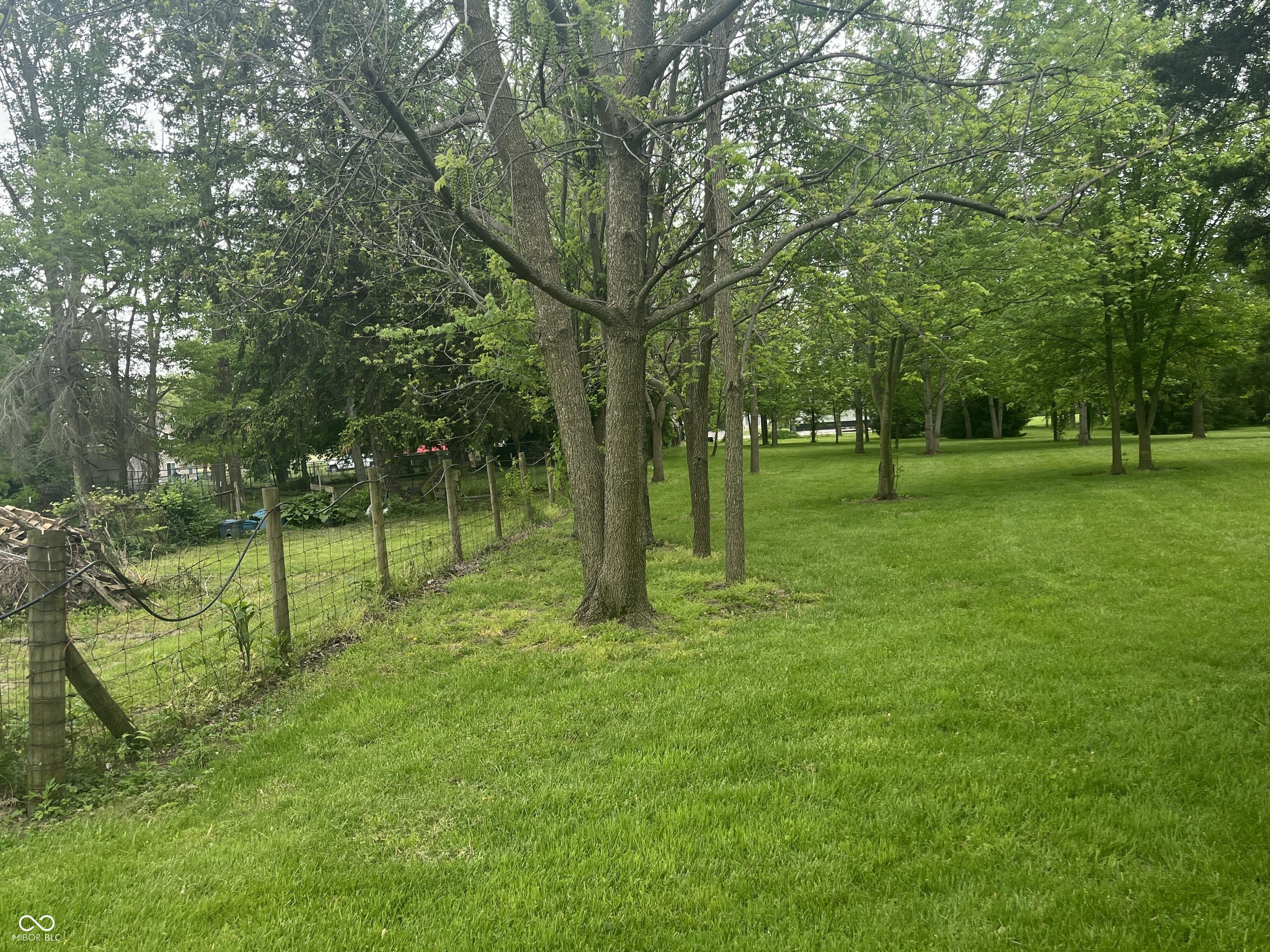 Photo #35