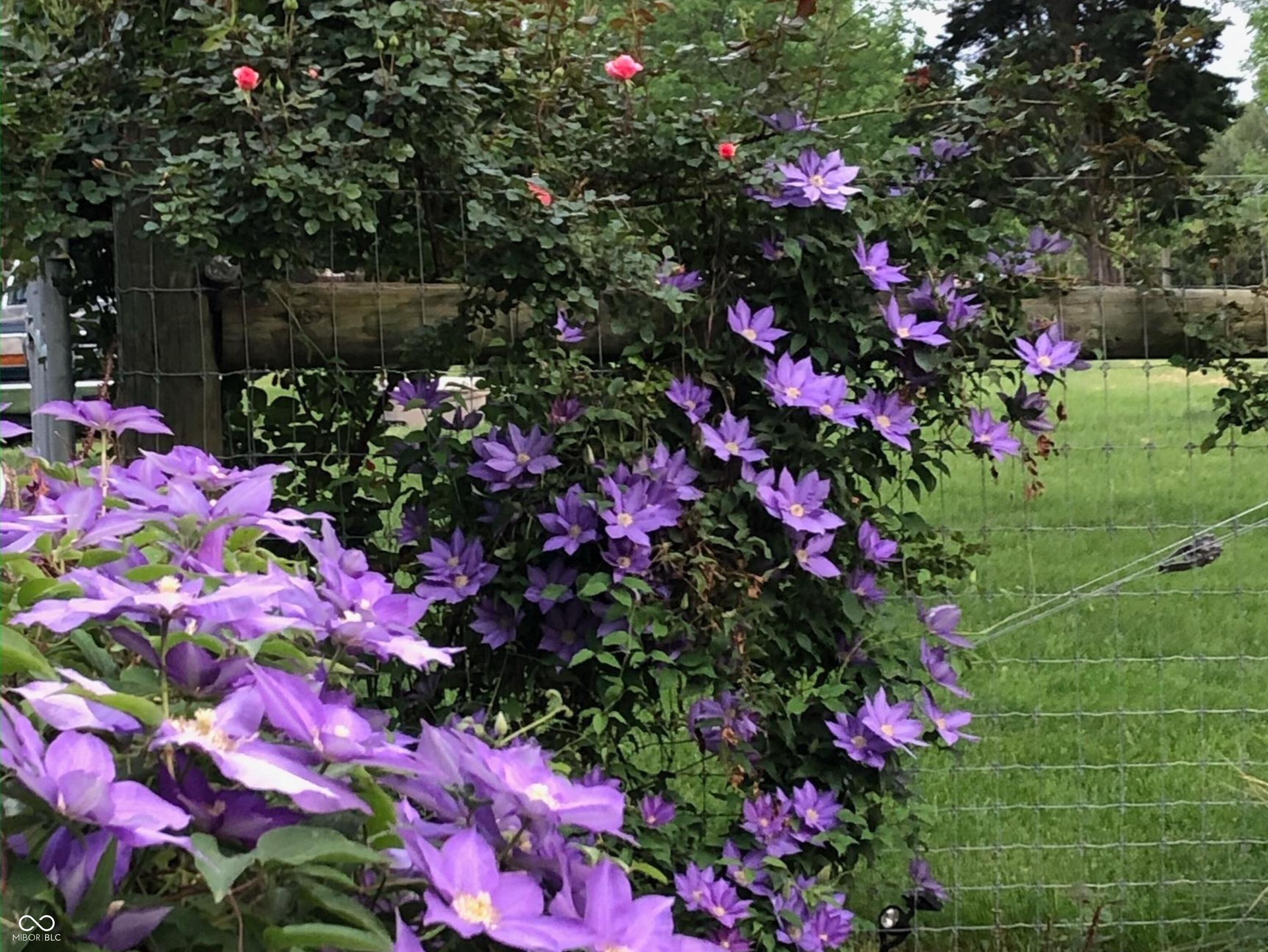Photo #26