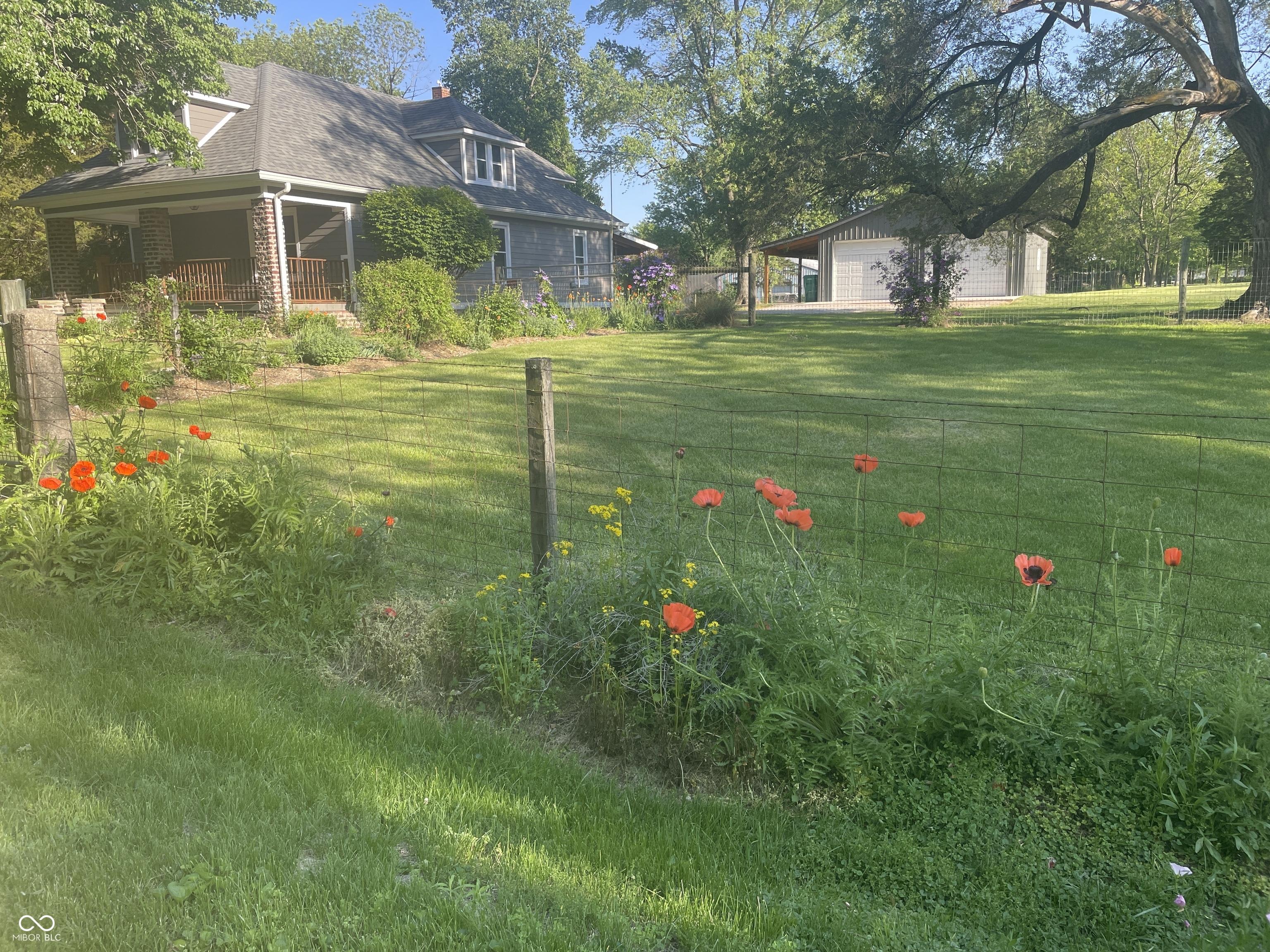 Photo #29