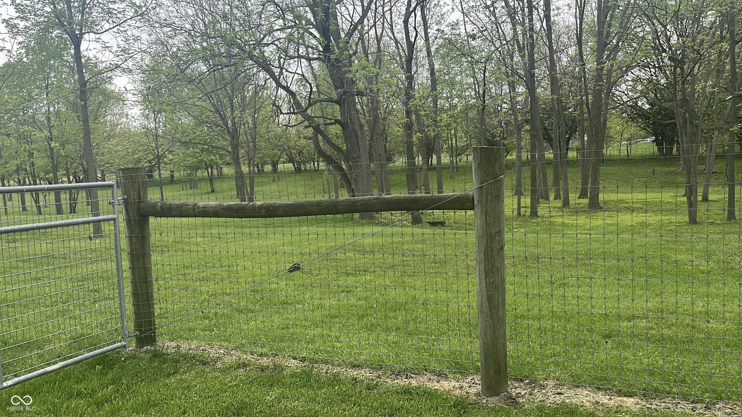 Photo #36