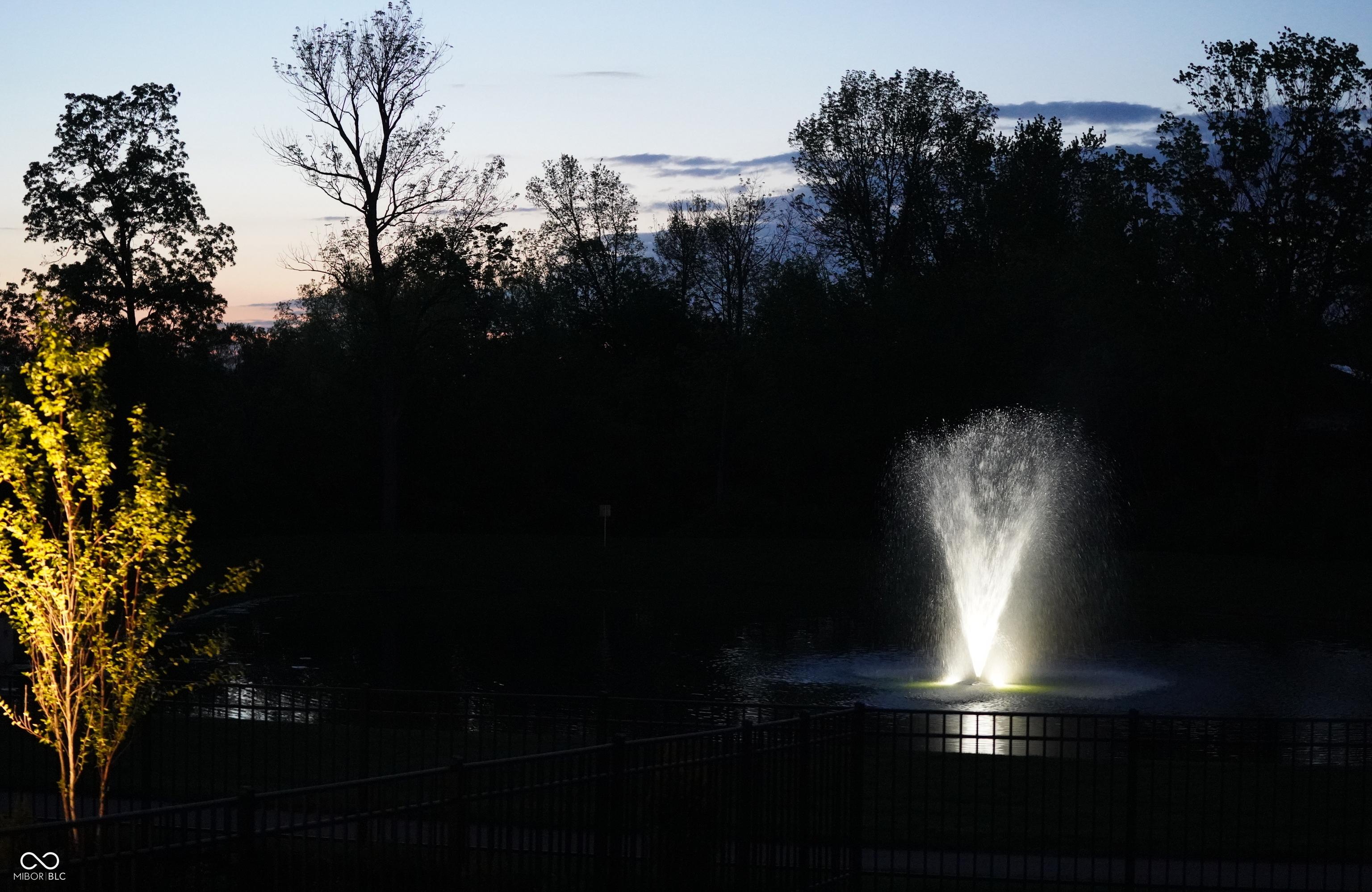 Photo #44