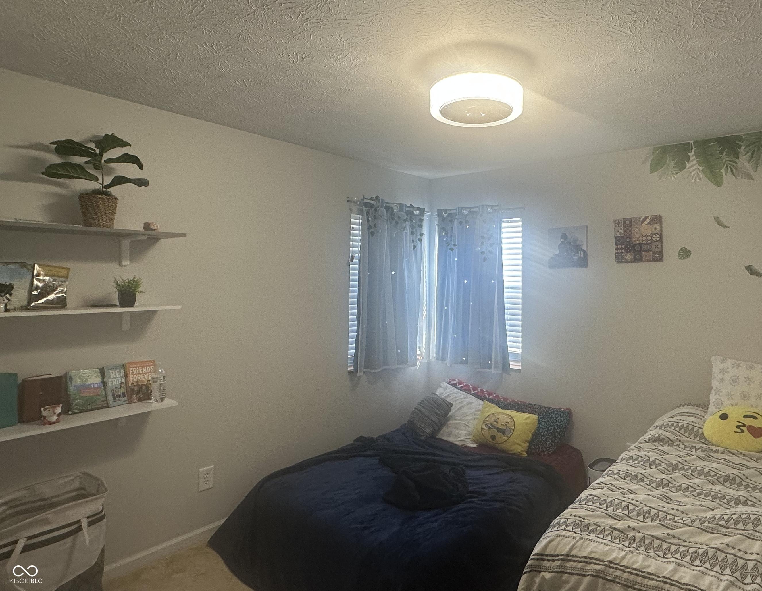 Photo #24