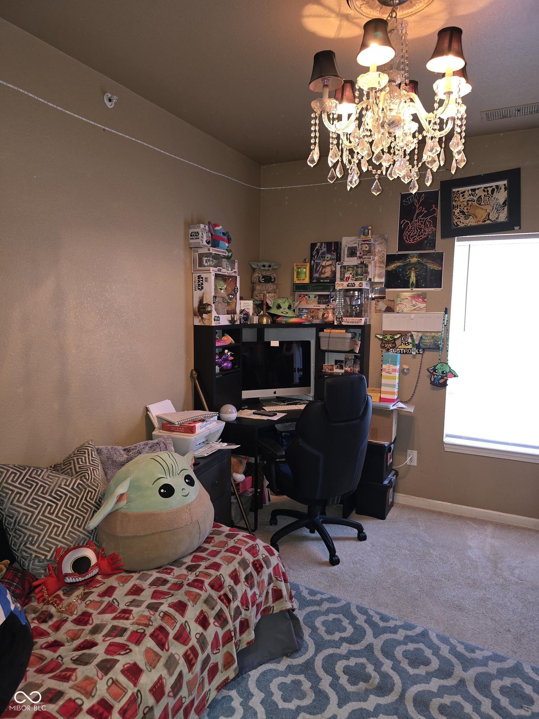 Photo #17