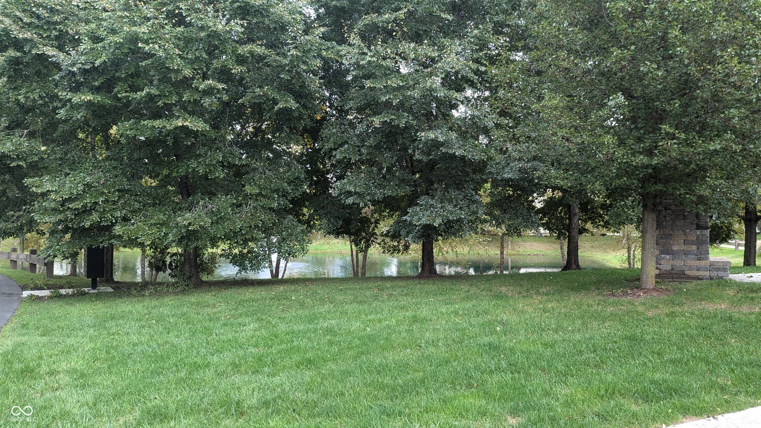 Photo #21