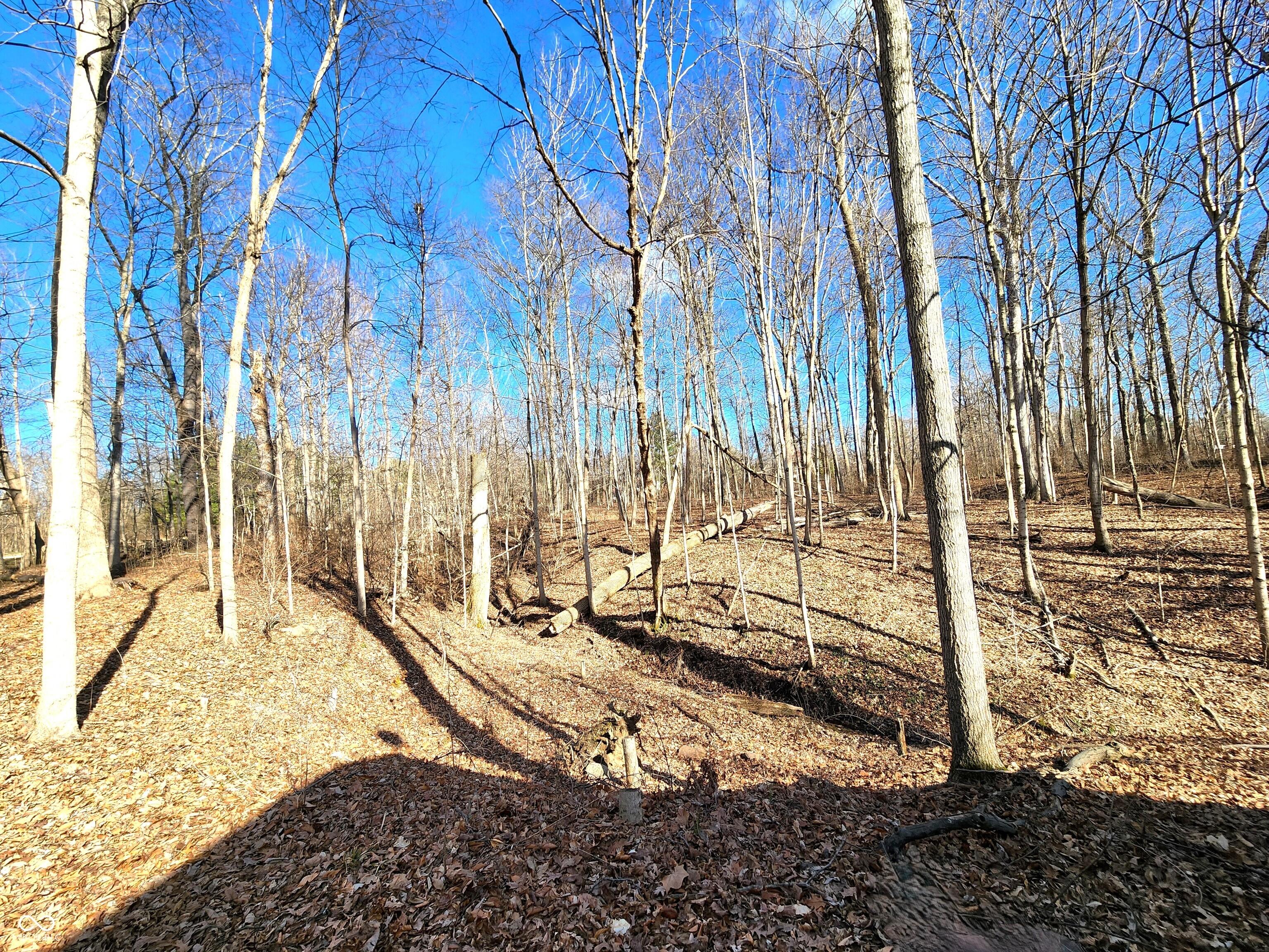 Photo #45