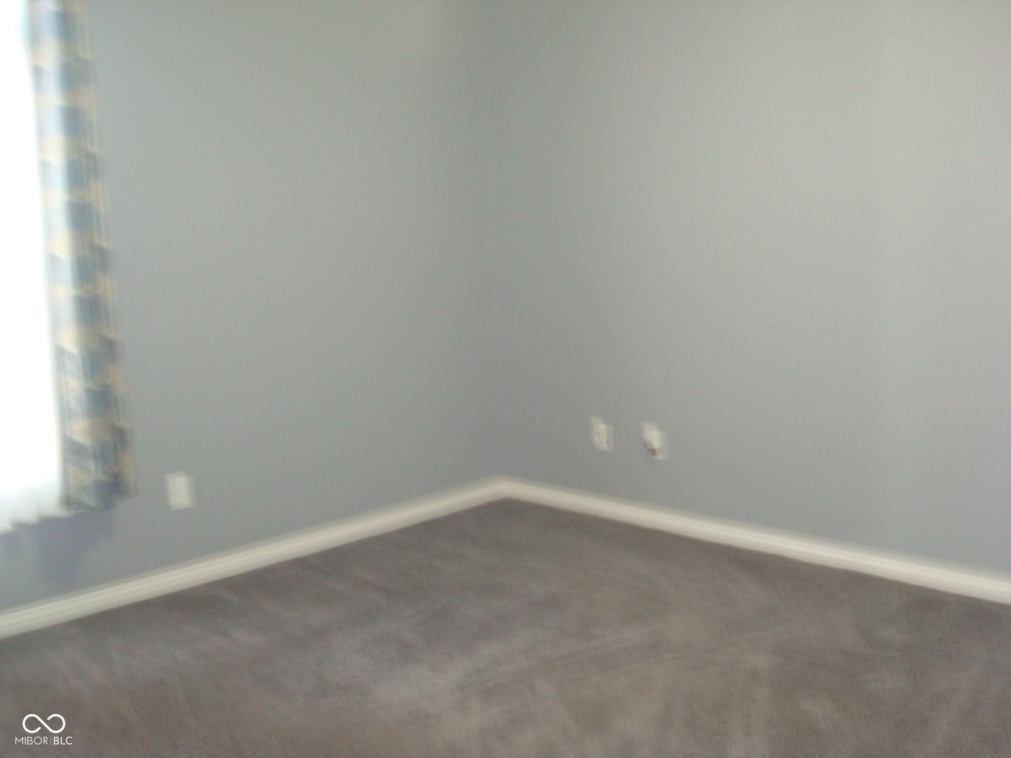 Photo #12