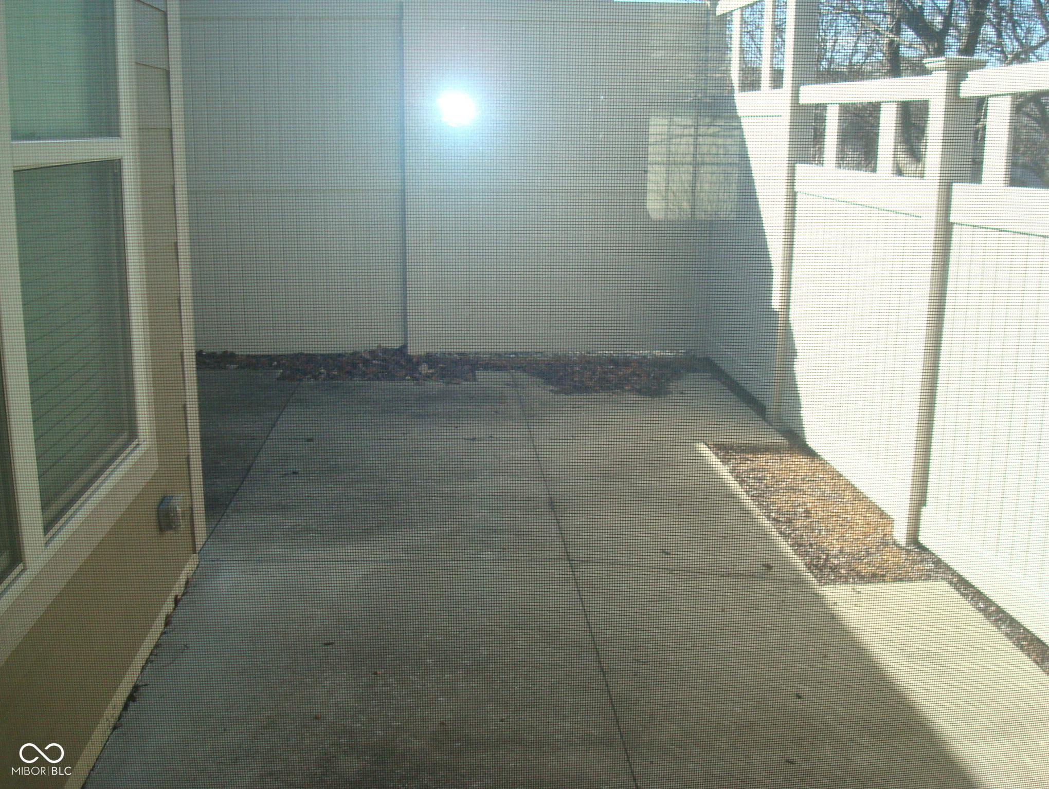 Photo #15