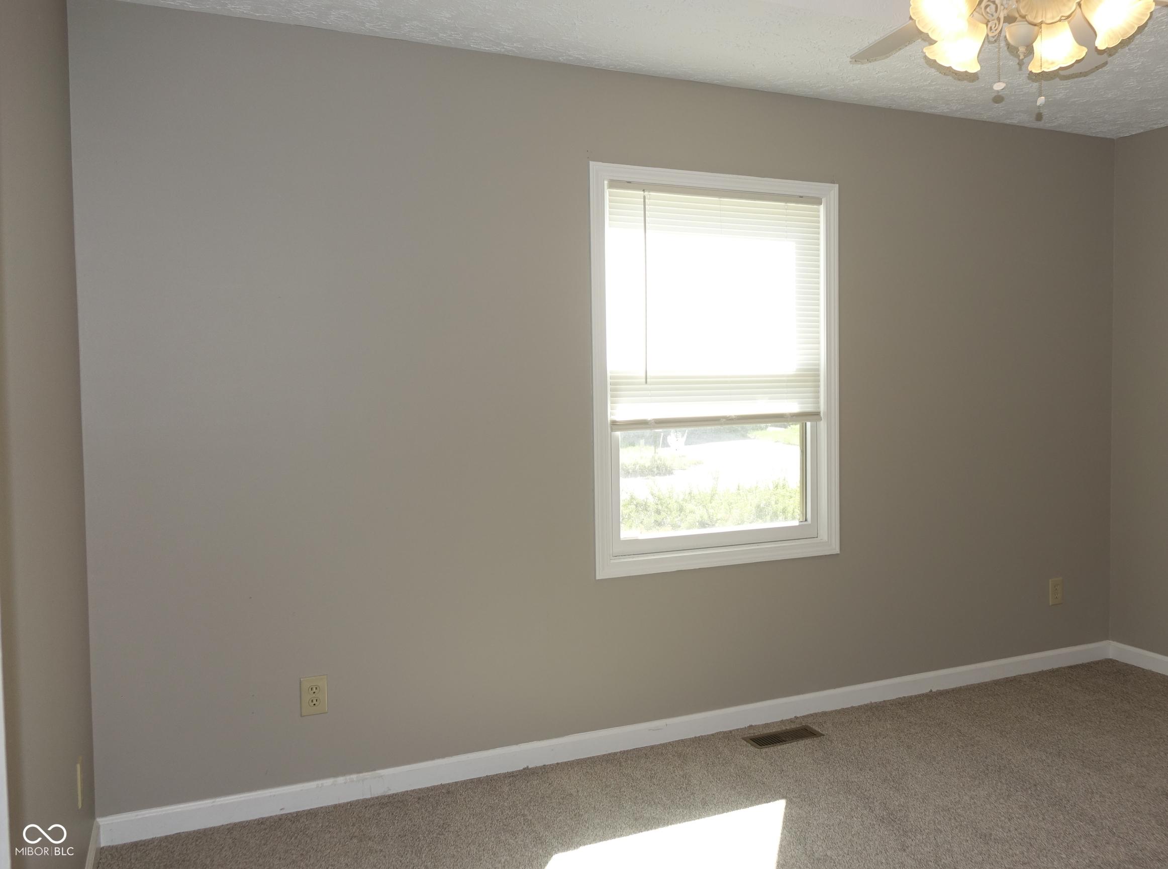 Photo #22