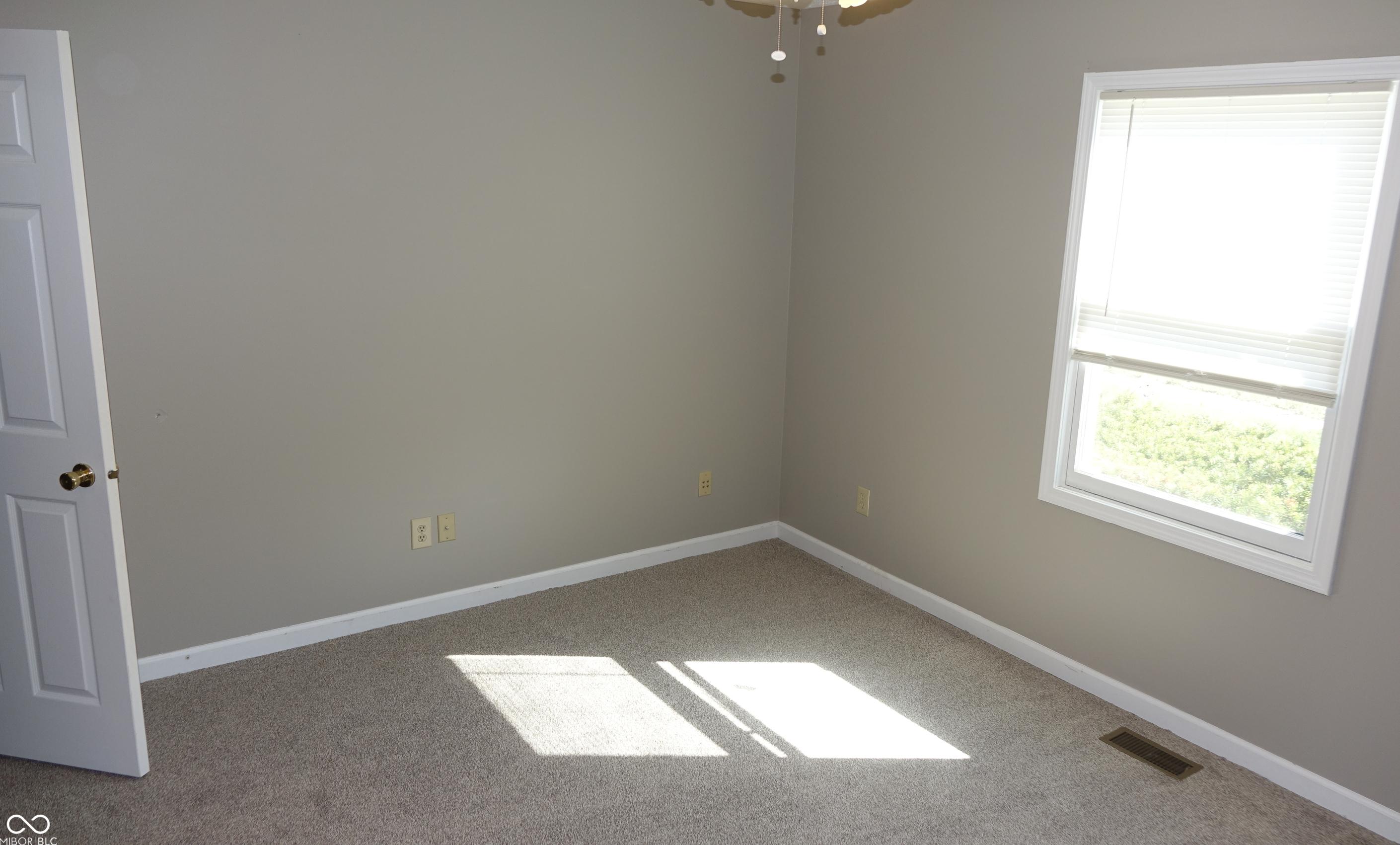 Photo #24