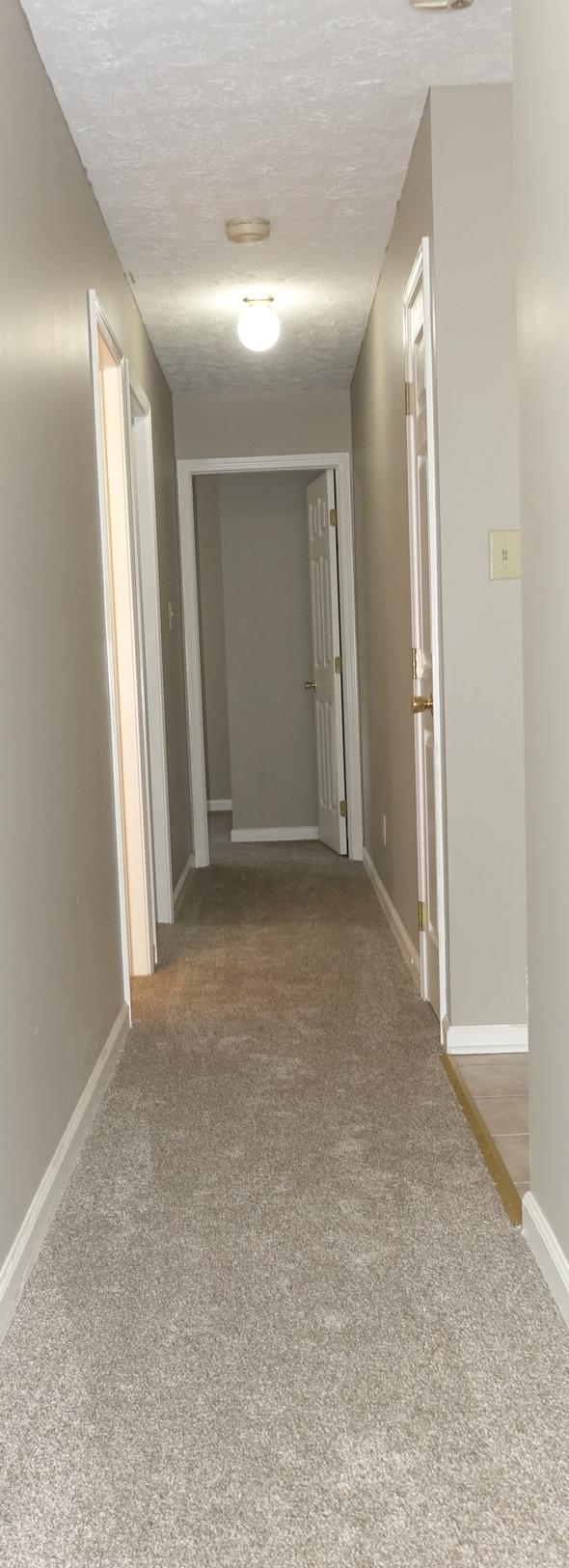 Photo #21
