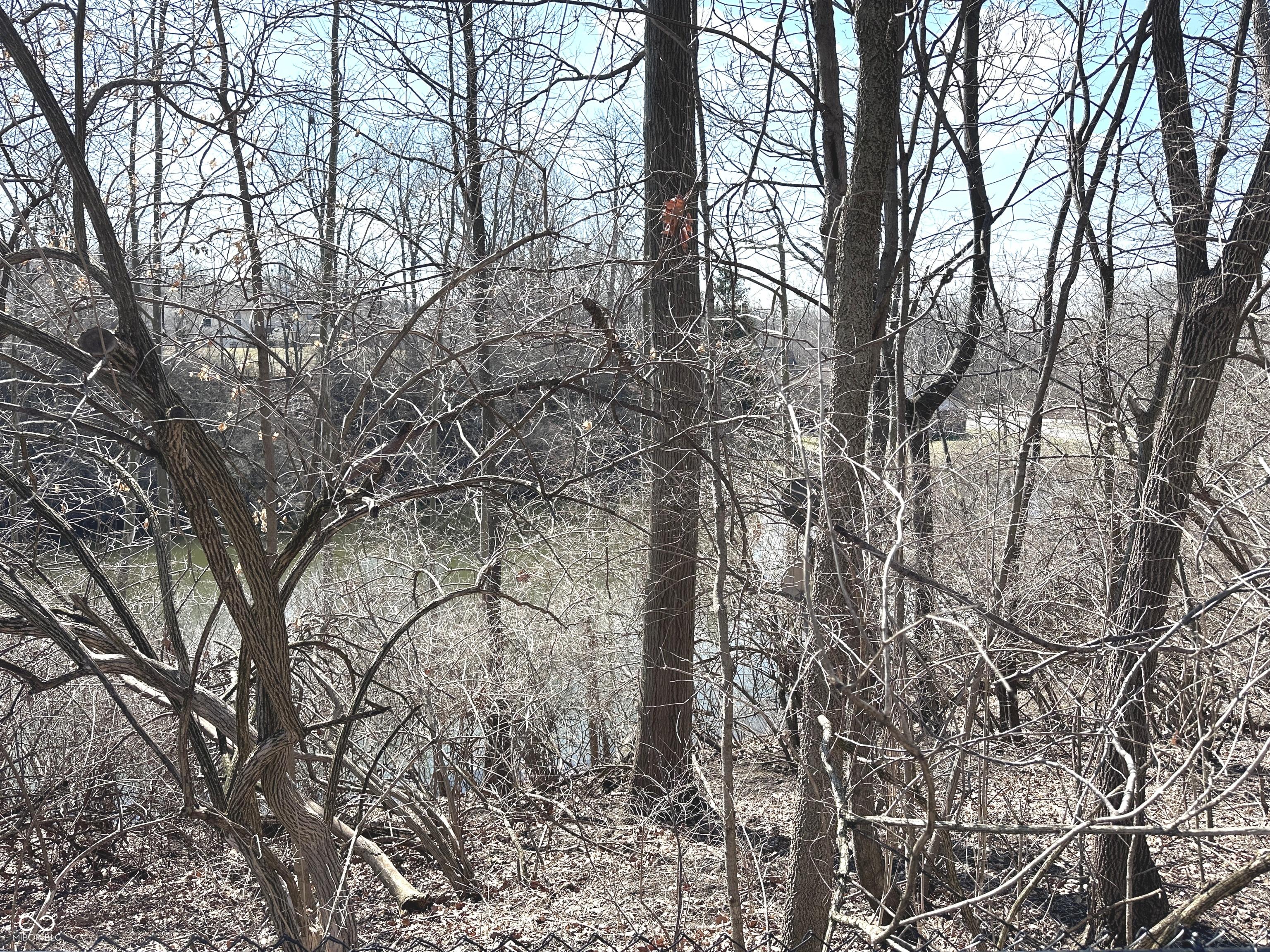Photo #6