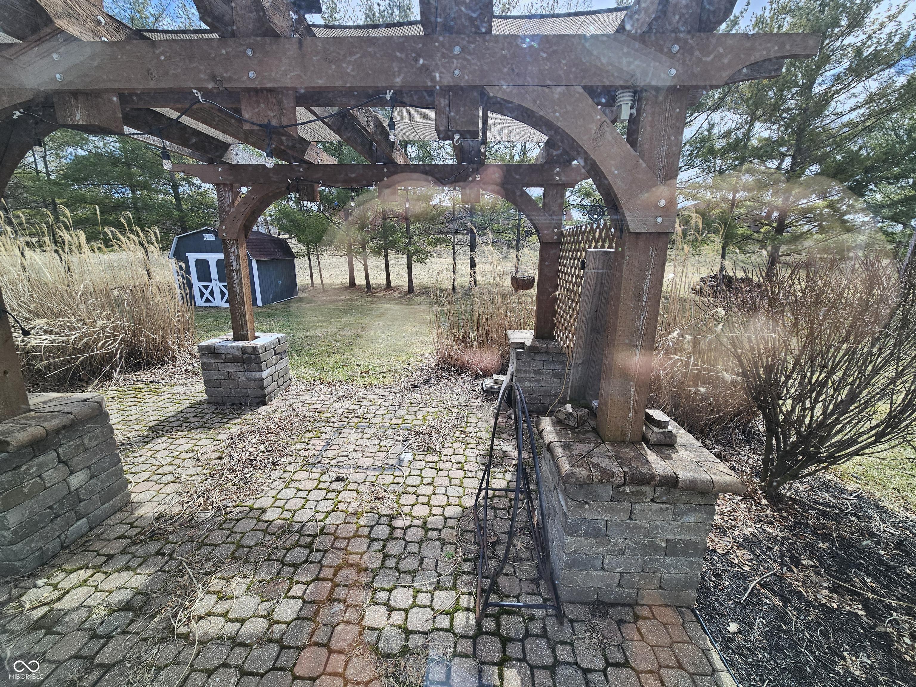 Photo #8