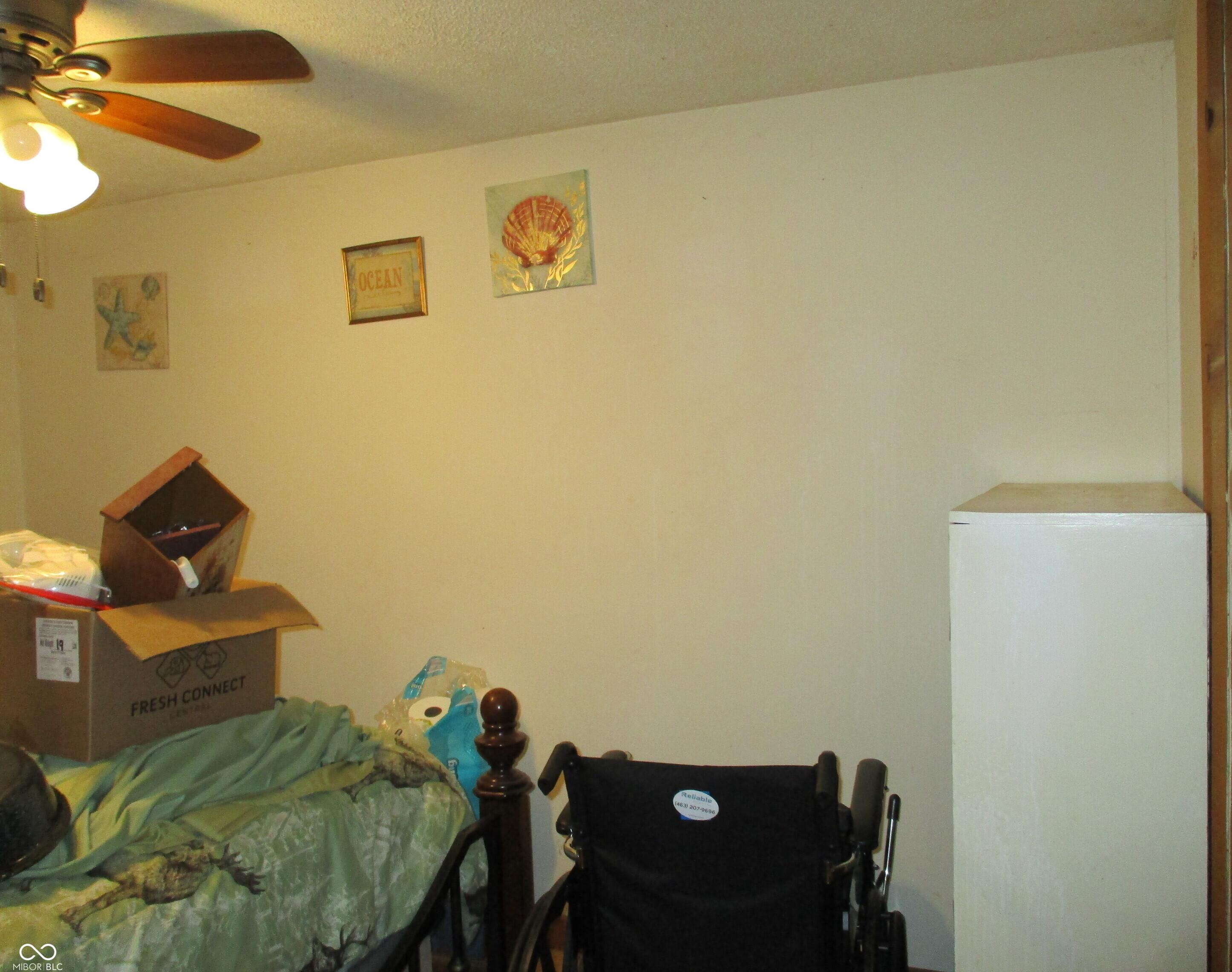 Photo #8