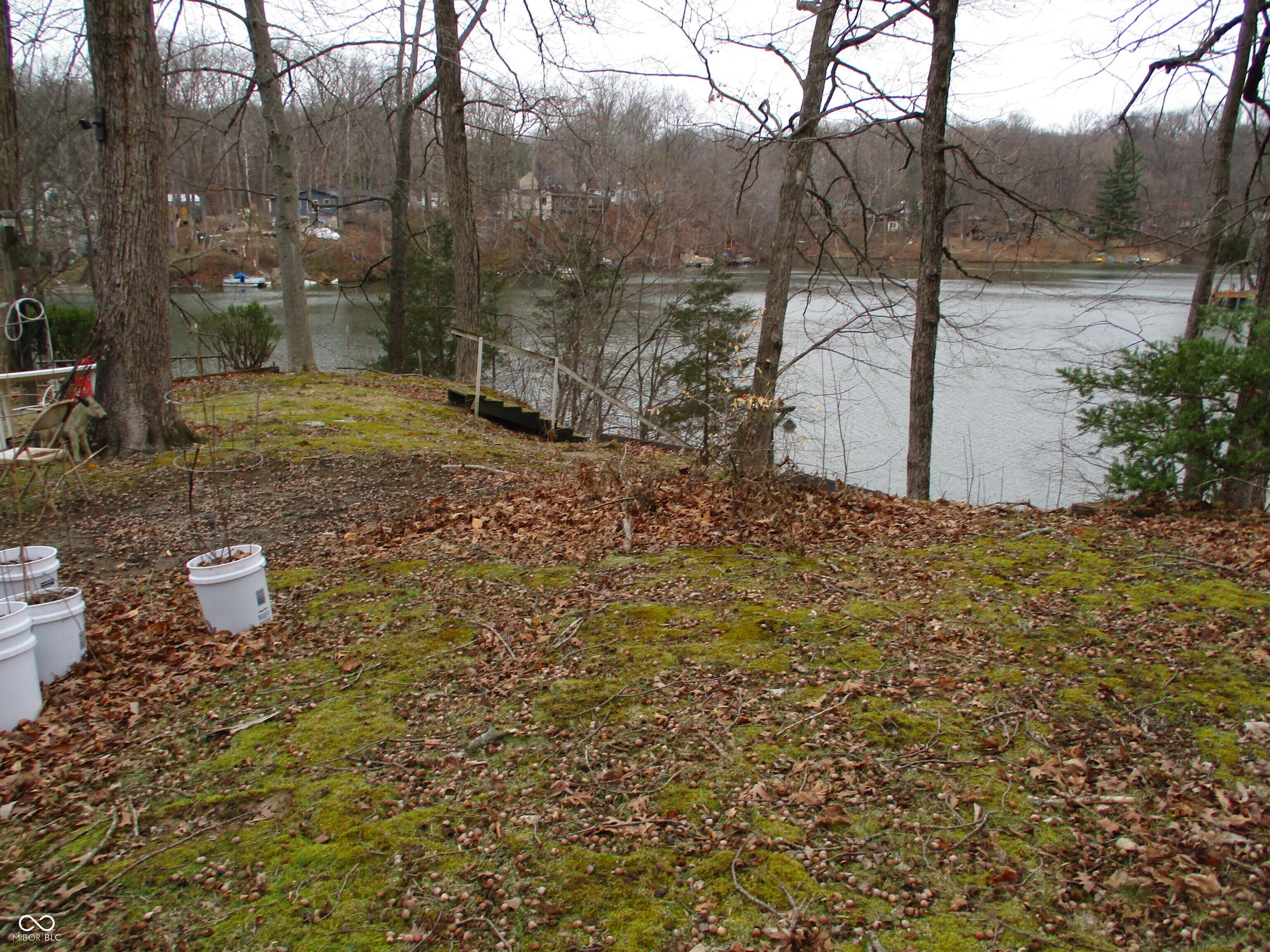 Photo #3